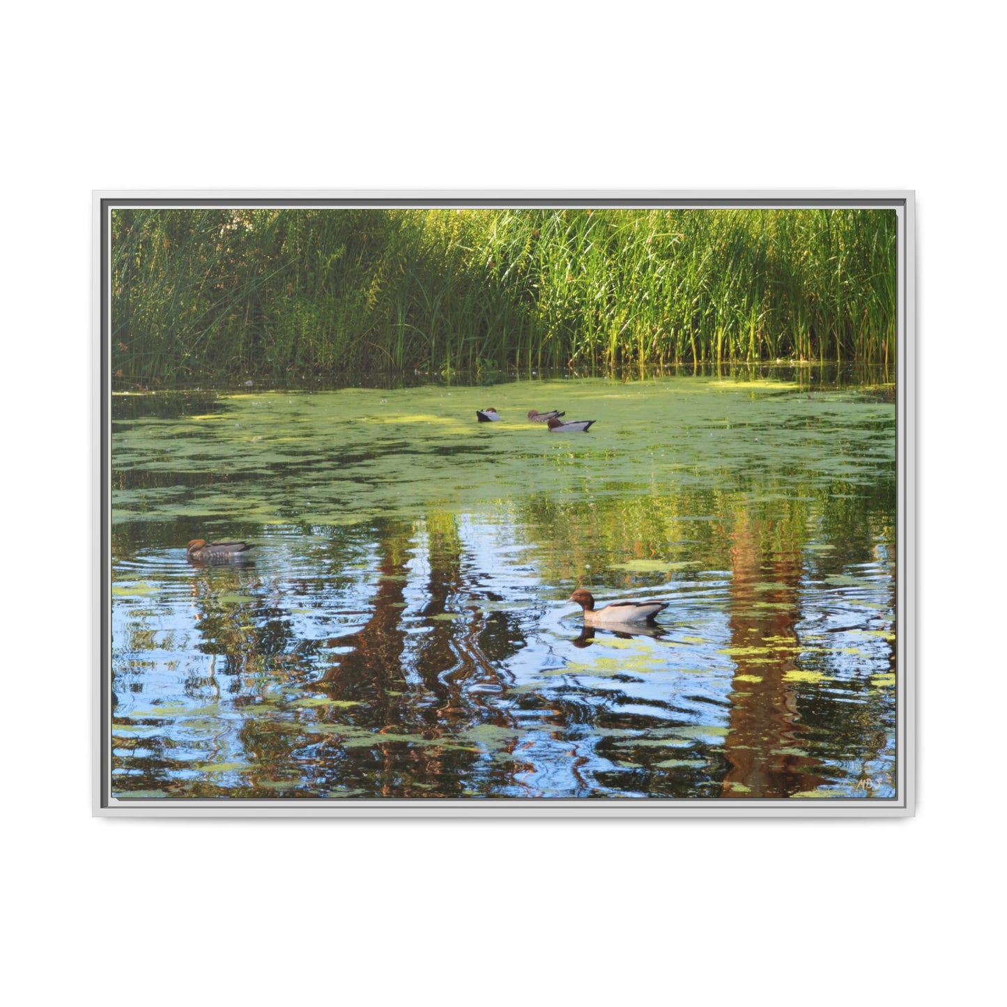 Late Morning Marsh Reflections at Croydon Park | The Framed Canvas Deployment