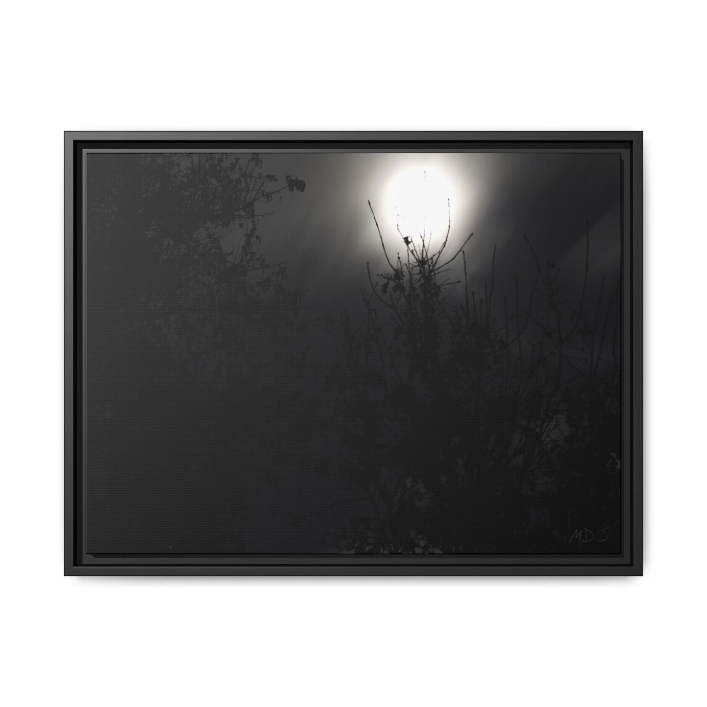 A Dance of Shadows Beneath the Moonlight [28] | Framed Canvas