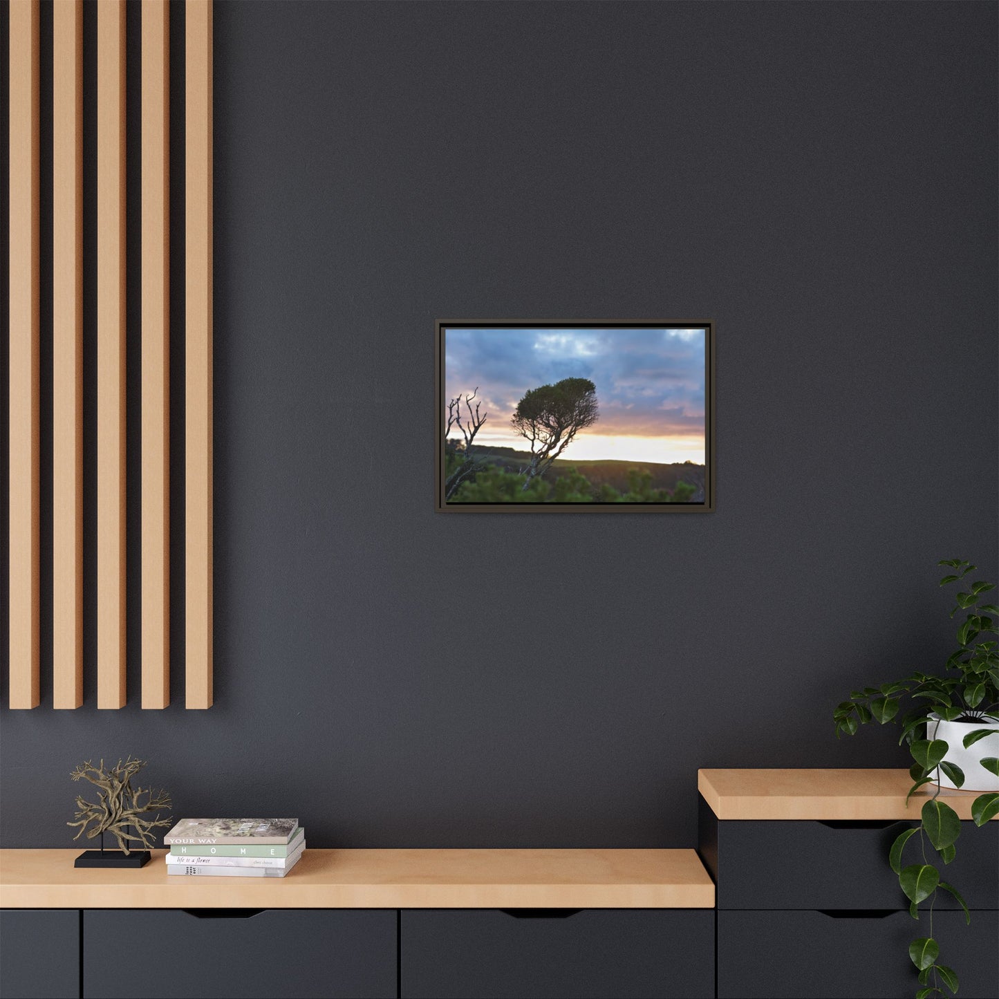 Melaleuca lanceolata in Cape Schank [6281] | Framed Canvas