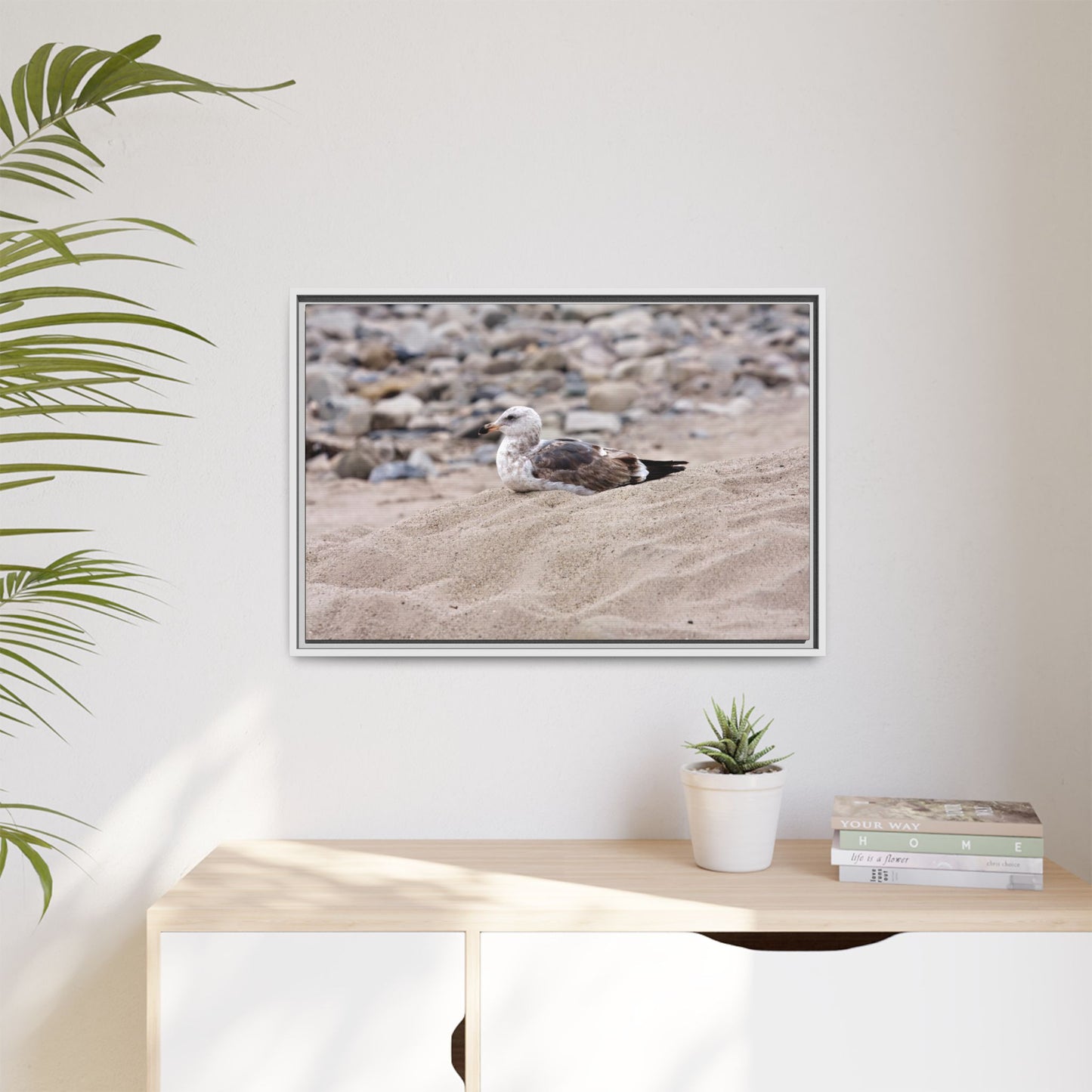 Seagull Serenity on the Shore 4278 - Thick Matte Canvas Print, Framed