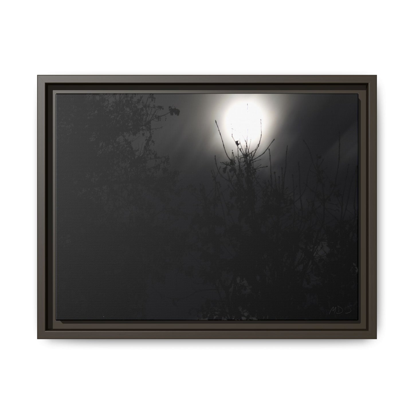 A Dance of Shadows Beneath the Moonlight [28] | Framed Canvas