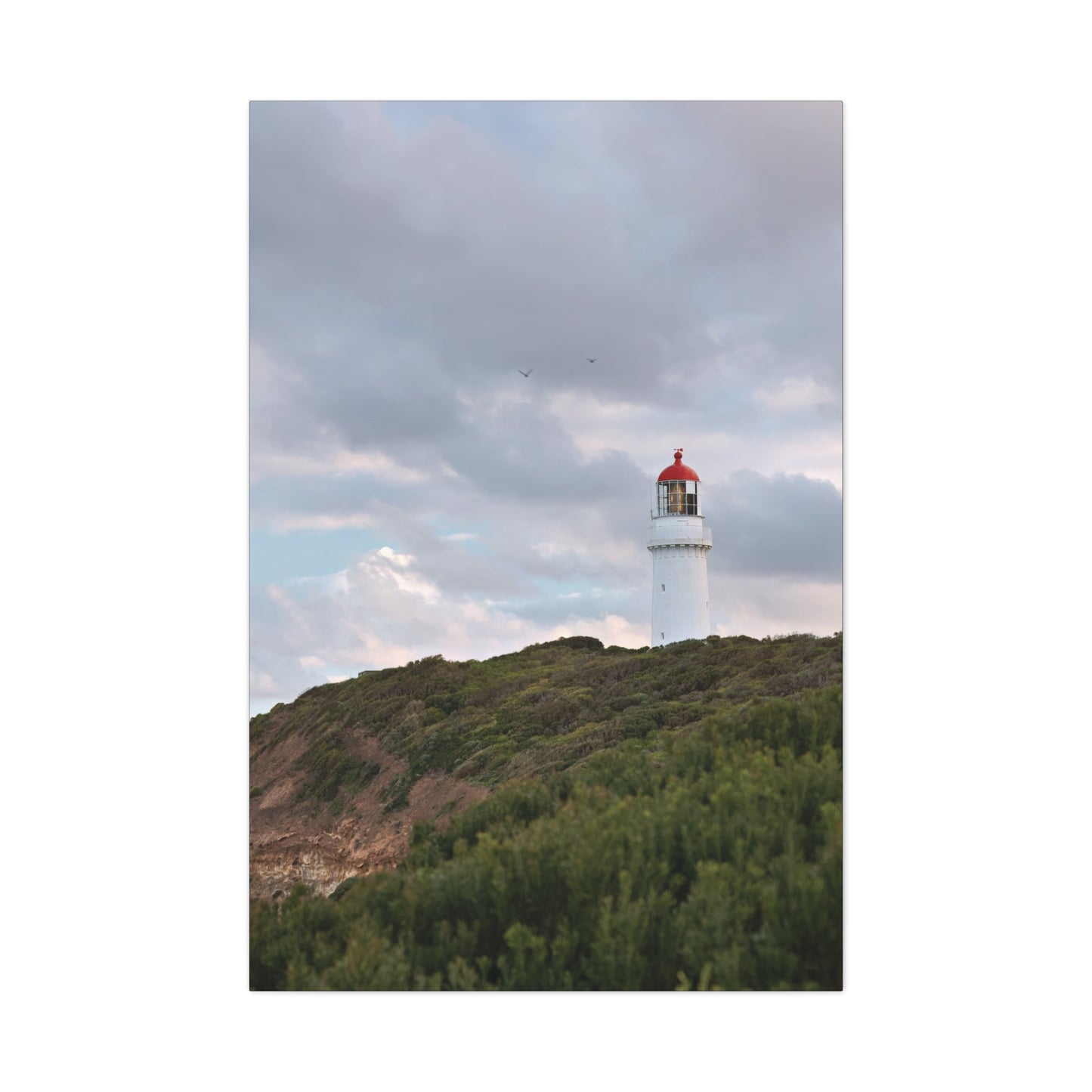 Cape Schank Lighthouse in Winter Light 6286 - Thick Matte Canvas Print