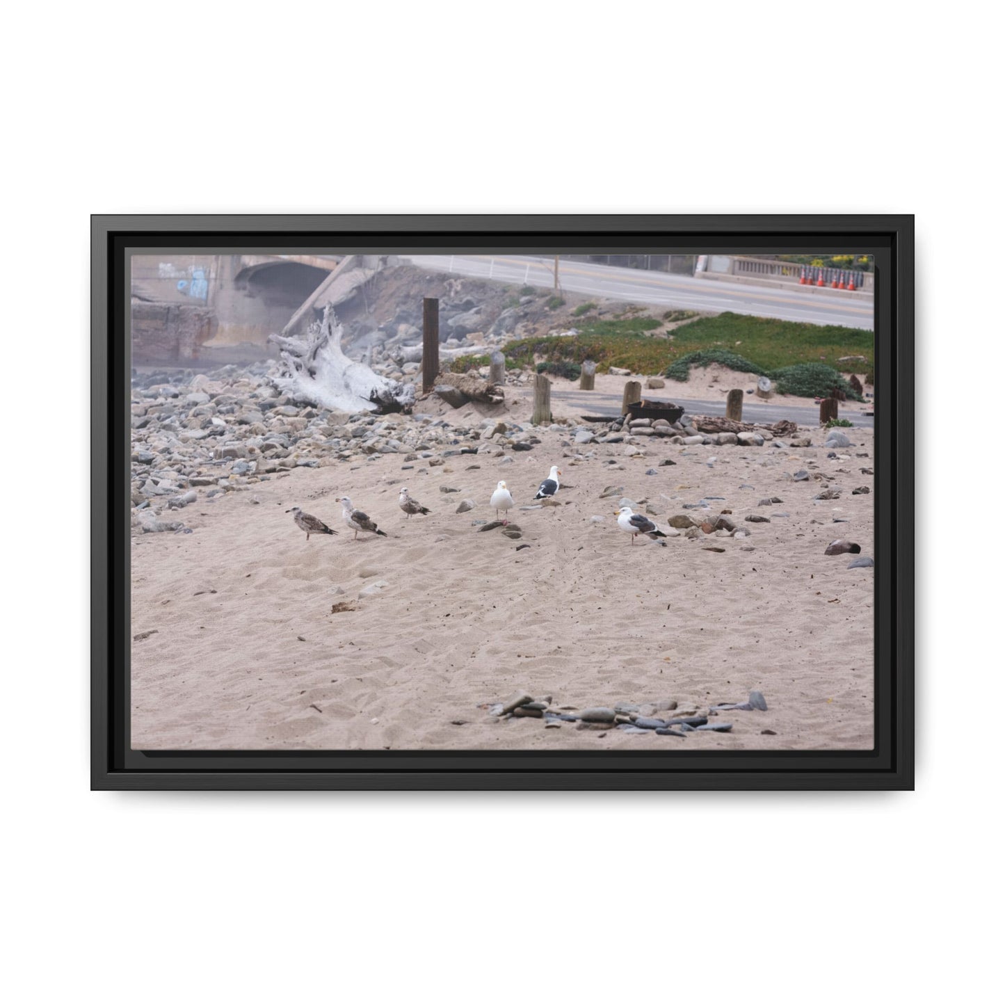 California Shoreline Escape [4275] | Framed Canvas