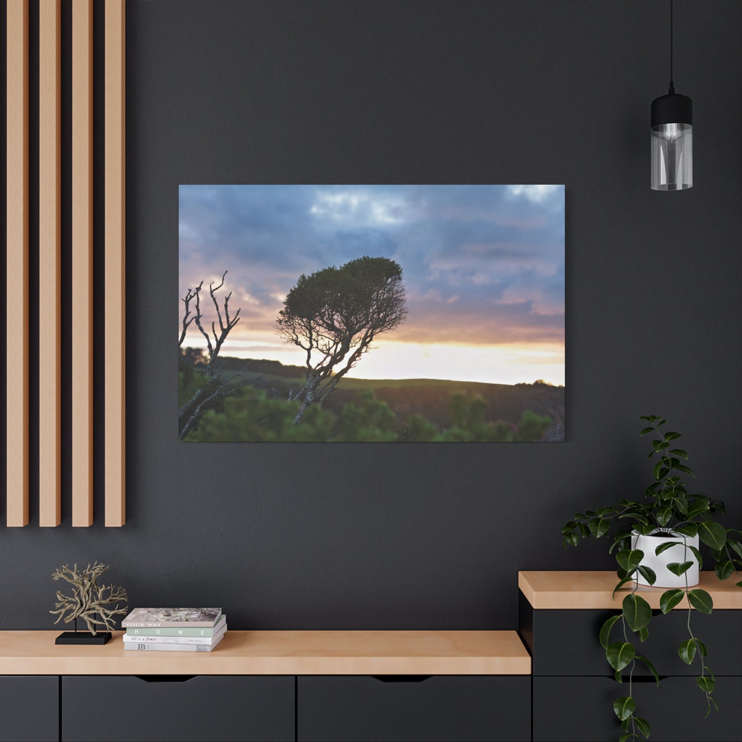 Serene Landscape of a Winter Sunrise: Melaleuca lanceolata in Cape Schank 6281 - Thick Matte Canvas Print