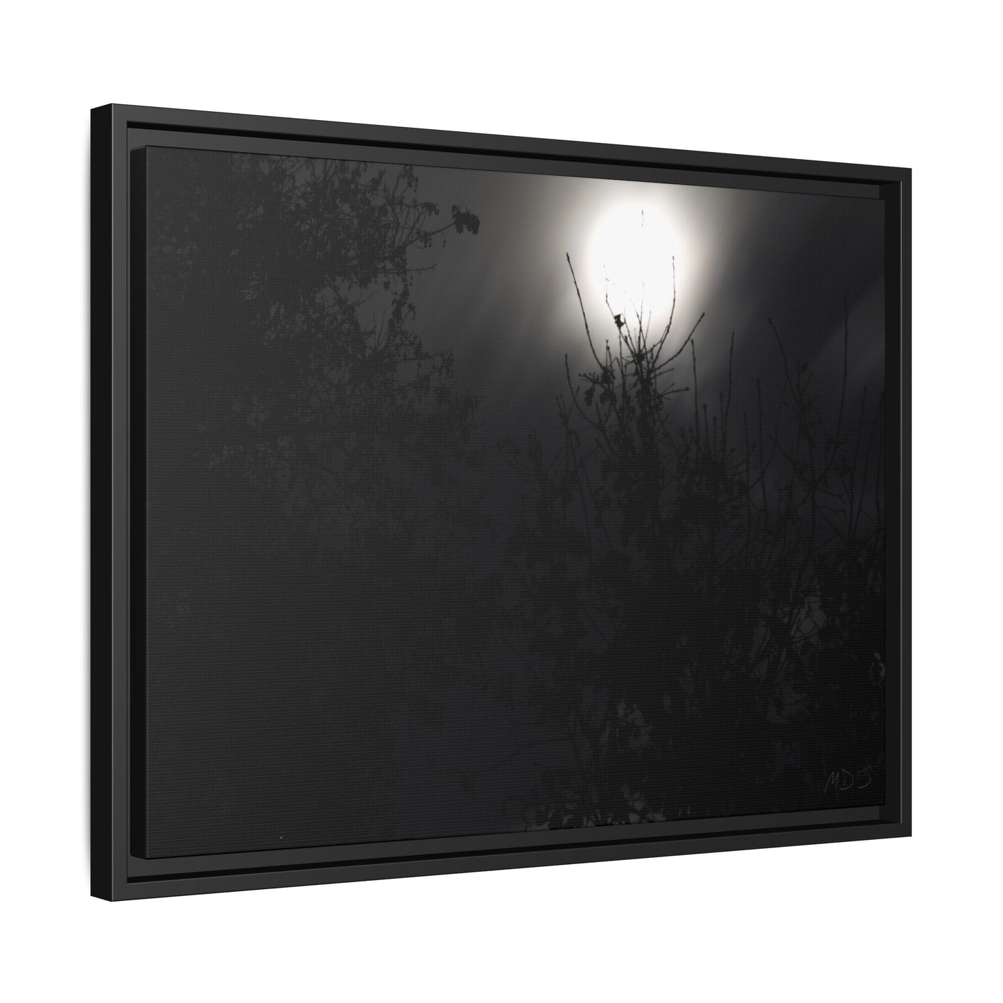 A Dance of Shadows Beneath the Moonlight [28] | Framed Canvas
