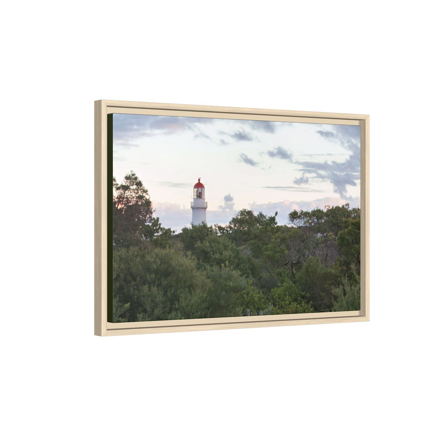 Cape Schank Lighthouse on a Winter Morning [6279] | Framed Canvas