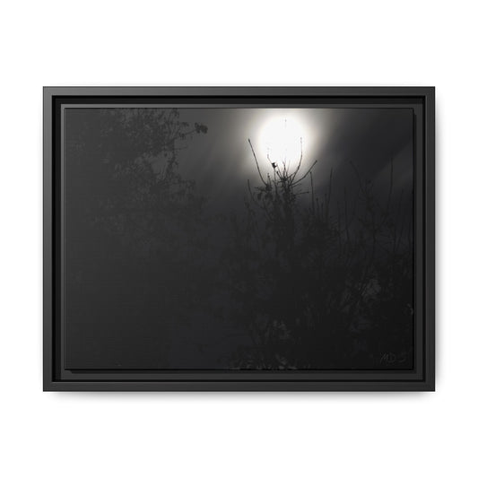 A Dance of Shadows Beneath the Moonlight 28 - Framed Canvas Print