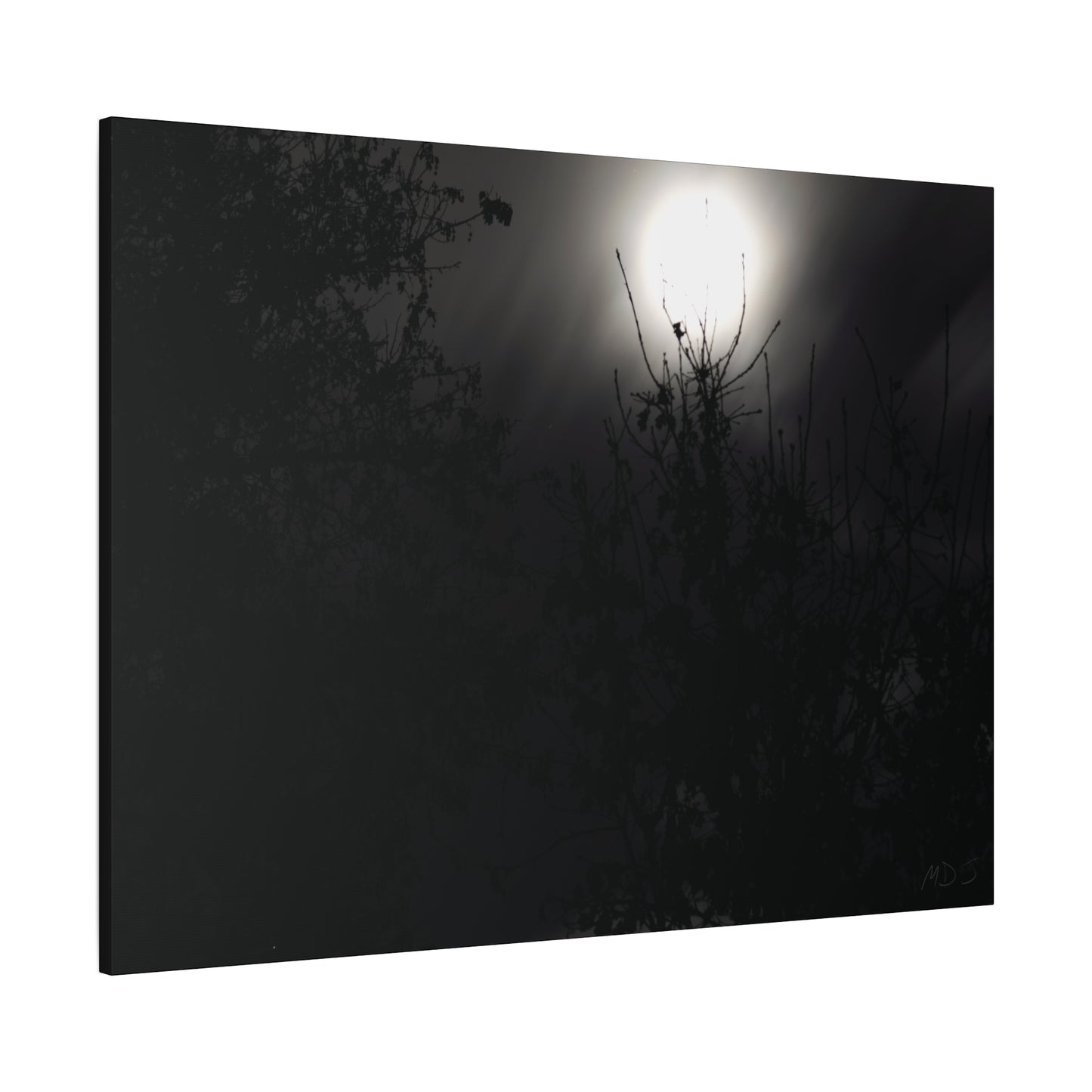 A Dance of Shadows Beneath the Moonlight [28] | Stretched Canvas