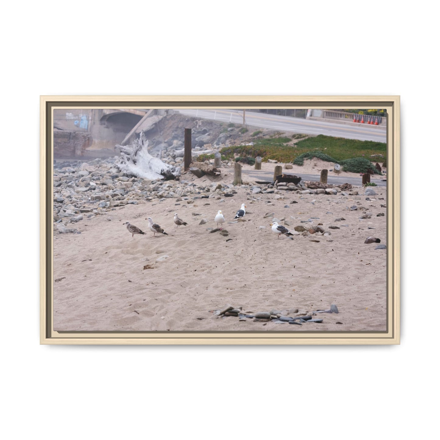 California Shoreline Escape [4275] | Framed Canvas