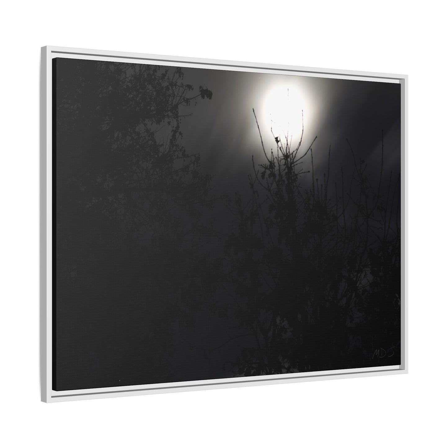 A Dance of Shadows Beneath the Moonlight [28] | Framed Canvas