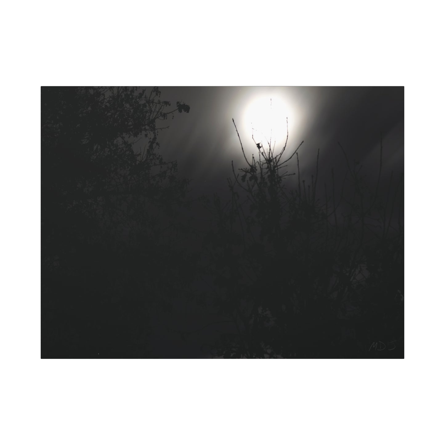 A Dance of Shadows Beneath the Moonlight [28] | Stretched Canvas