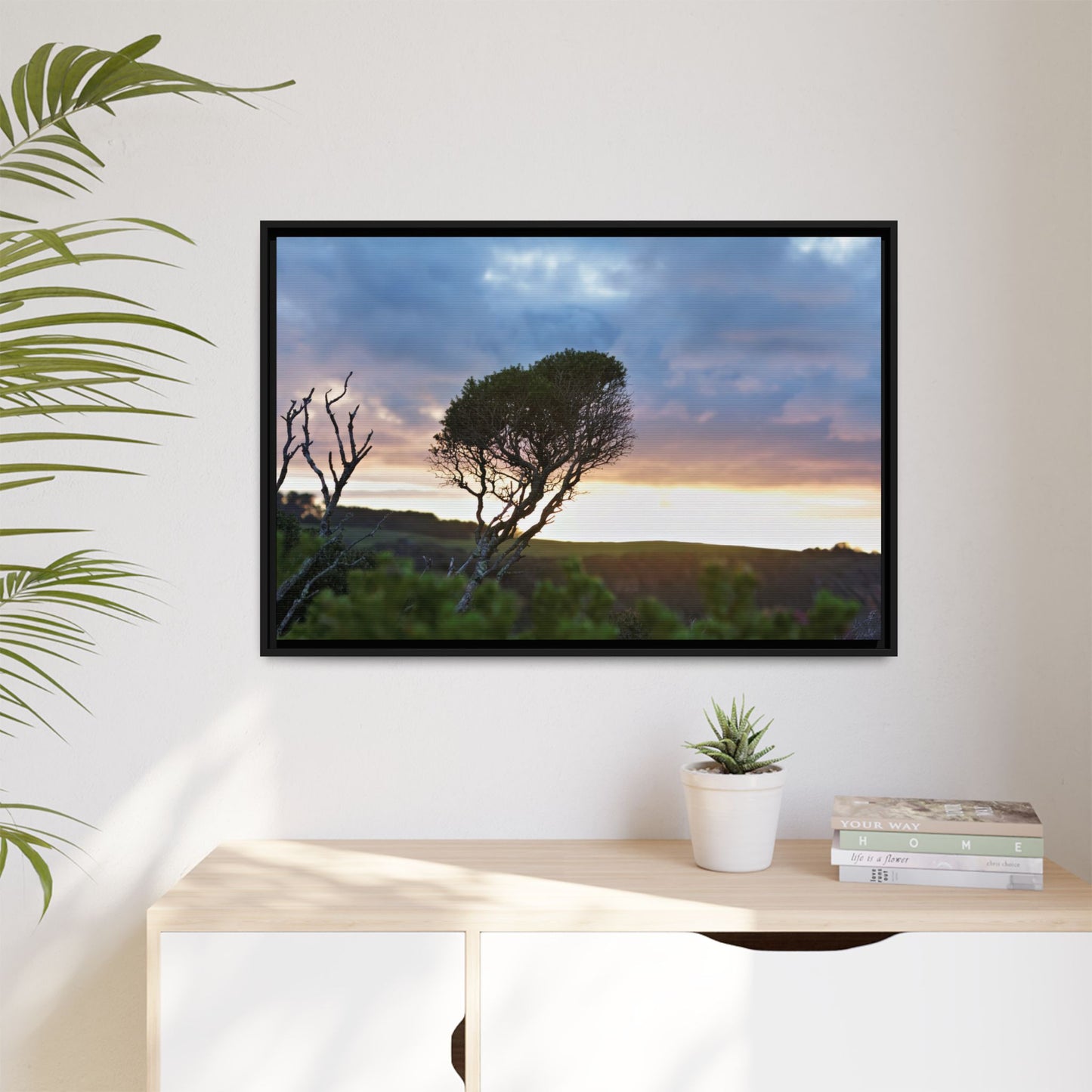 Serene Landscape of a Winter Sunrise: Melaleuca lanceolata in Cape Schank 6281 - Thick Matte Canvas Print, Framed