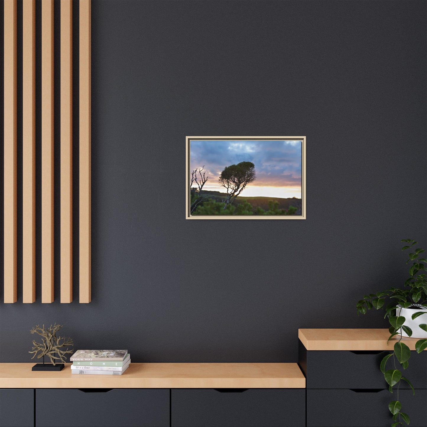 Melaleuca lanceolata in Cape Schank [6281] | Framed Canvas