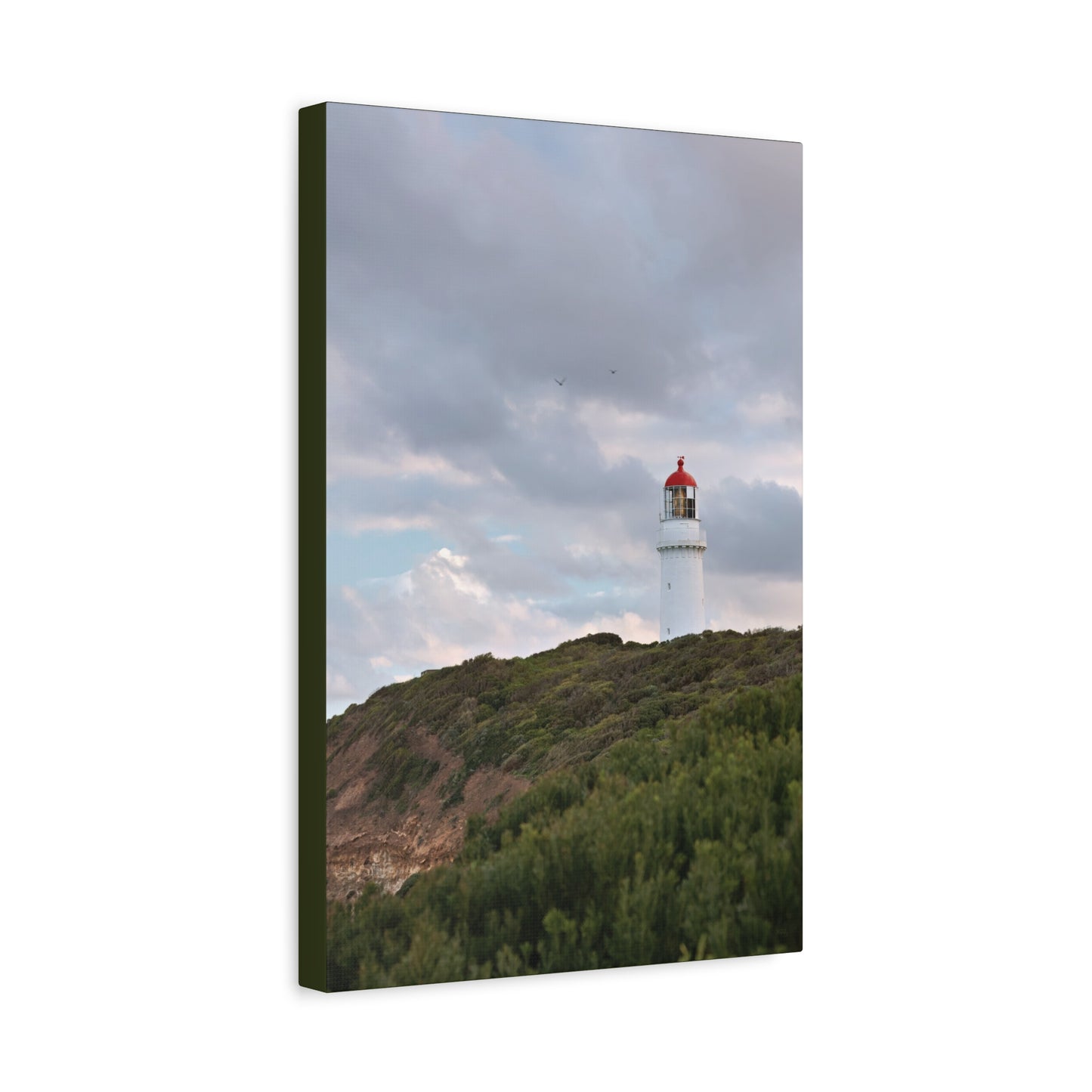 Cape Schank Lighthouse in Winter Light [6286] | Stretched Canvas