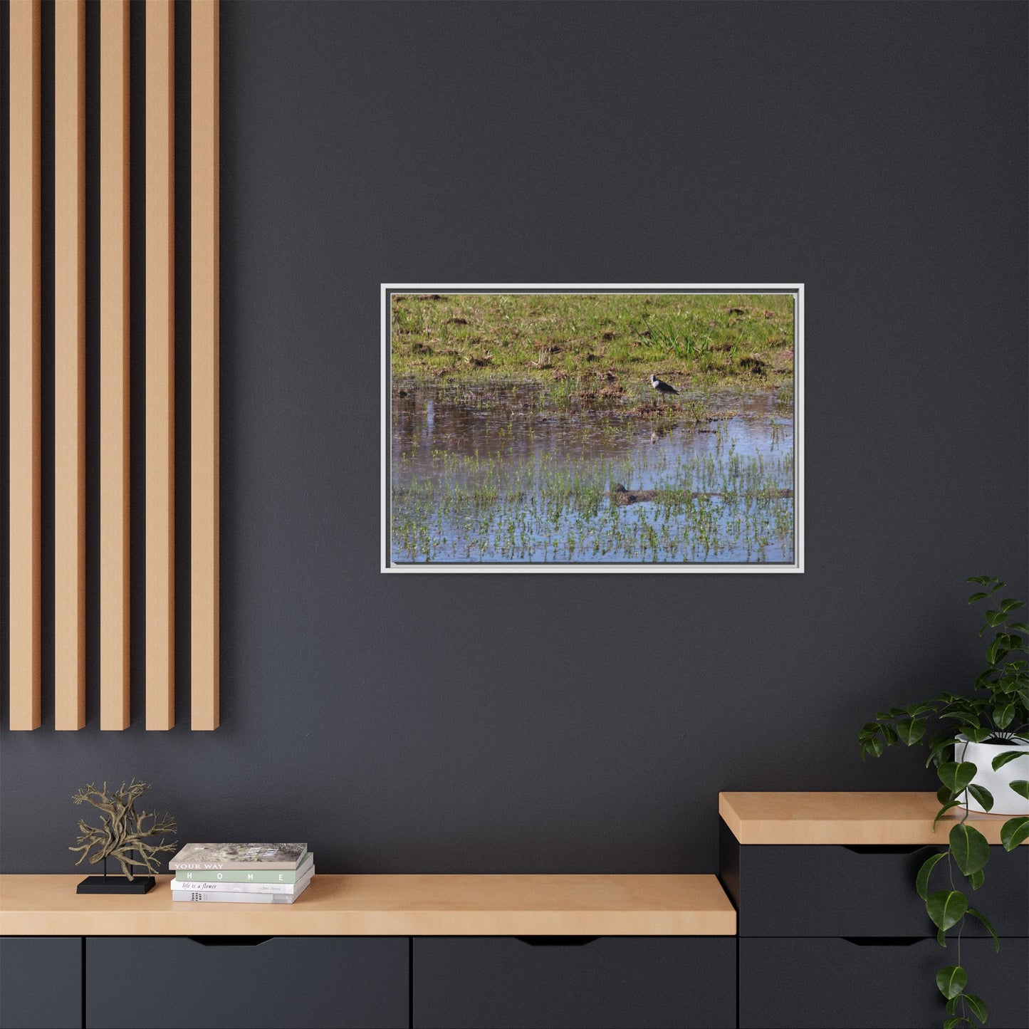 Sandpiper in Serene Wetland [2897] | Framed Canvas
