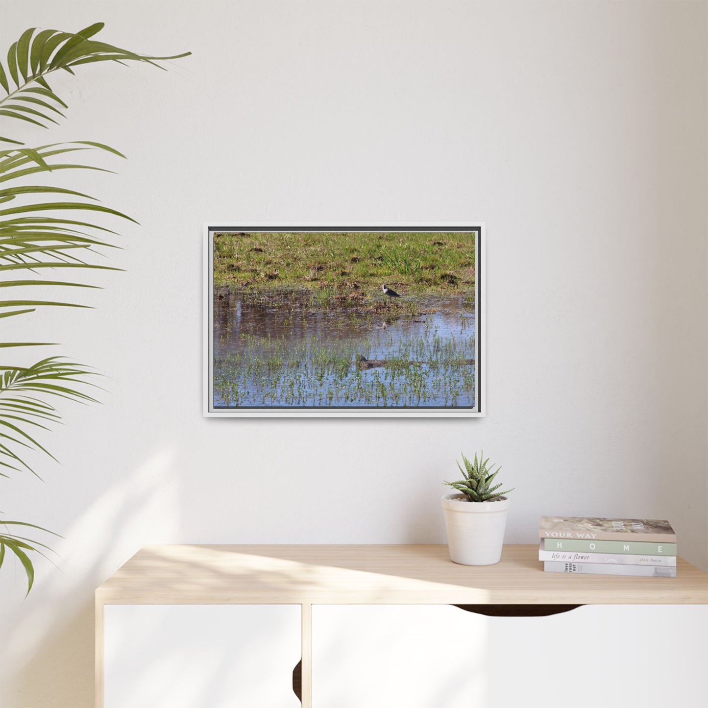 Sandpiper in Serene Wetland [2897] | Framed Canvas