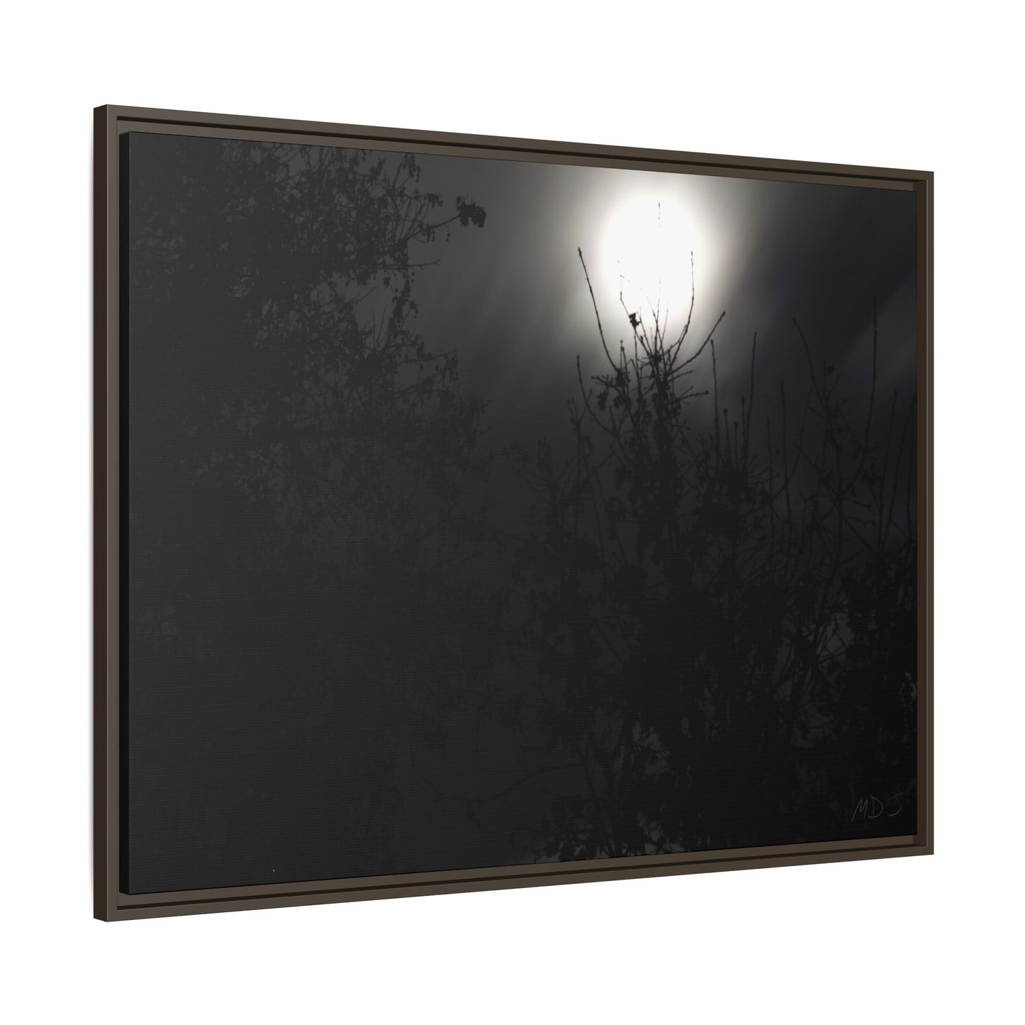 A Dance of Shadows Beneath the Moonlight [28] | Framed Canvas