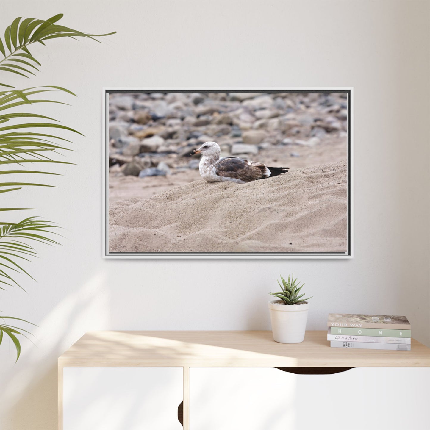 Seagull Serenity on the Shore 4278 - Thick Matte Canvas Print, Framed