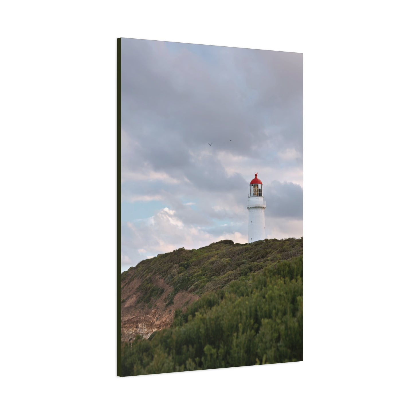 Cape Schank Lighthouse in Winter Light [6286] | Stretched Canvas