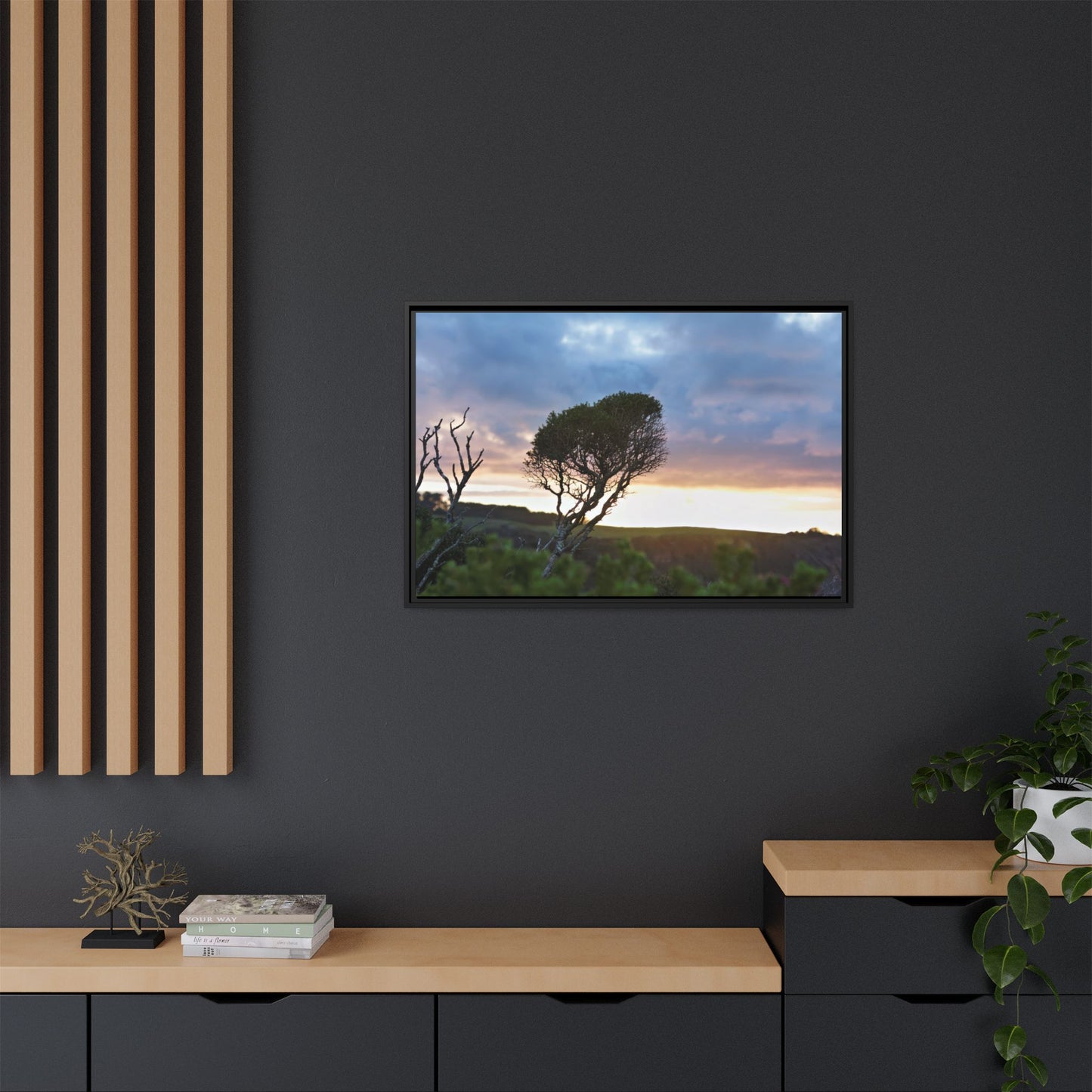 Serene Landscape of a Winter Sunrise: Melaleuca lanceolata in Cape Schank 6281 - Thick Matte Canvas Print, Framed