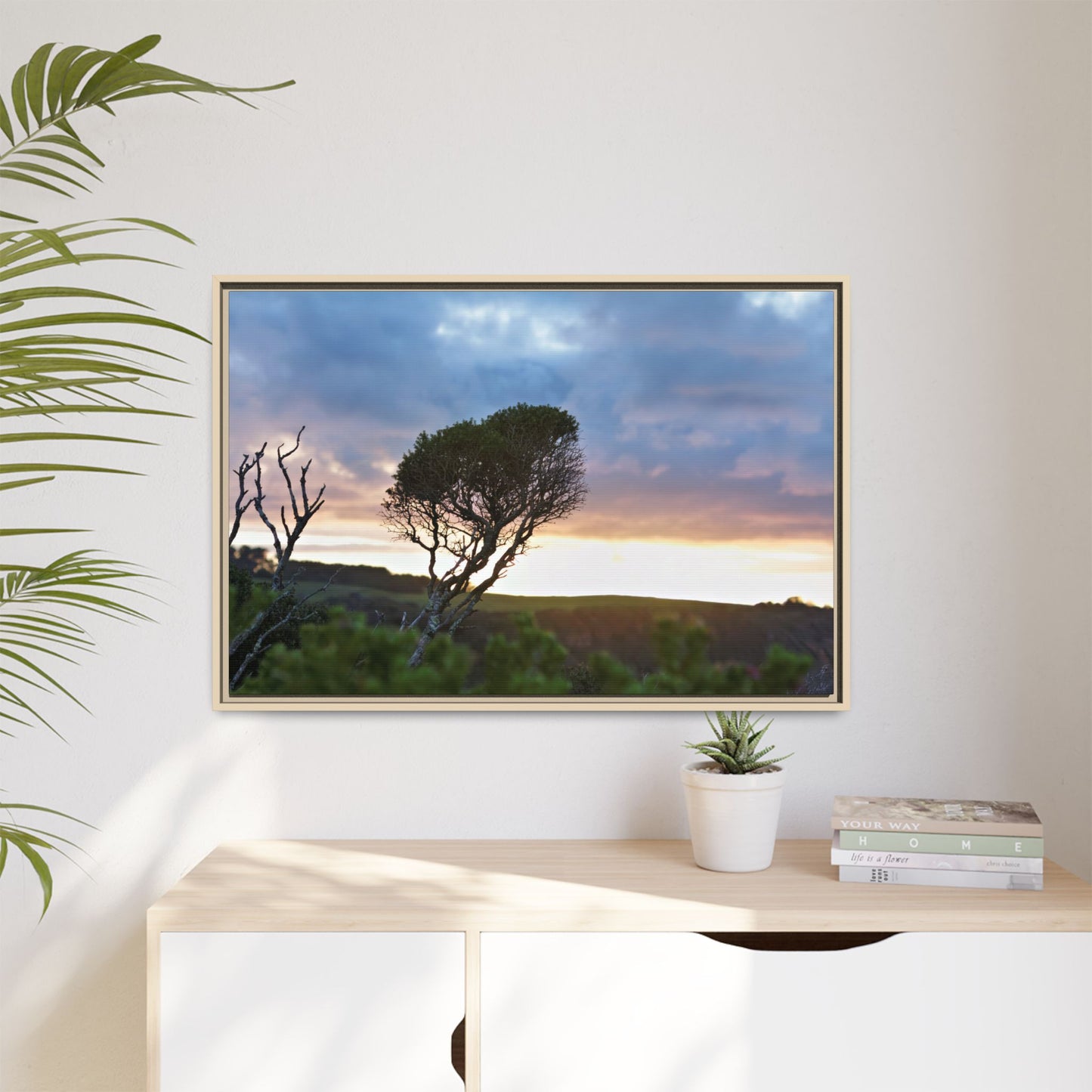 Melaleuca lanceolata in Cape Schank [6281] | Framed Canvas