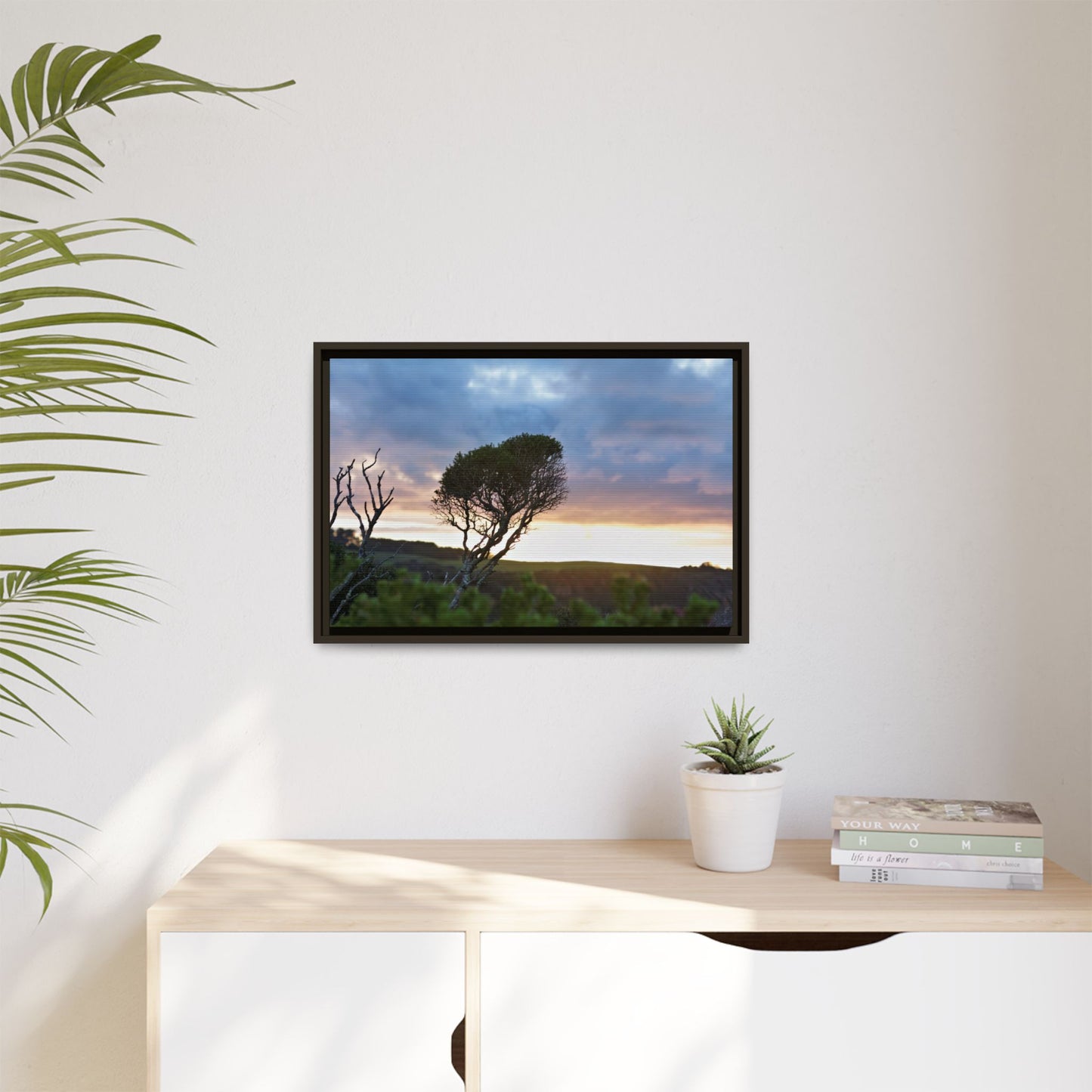 Melaleuca lanceolata in Cape Schank [6281] | Framed Canvas