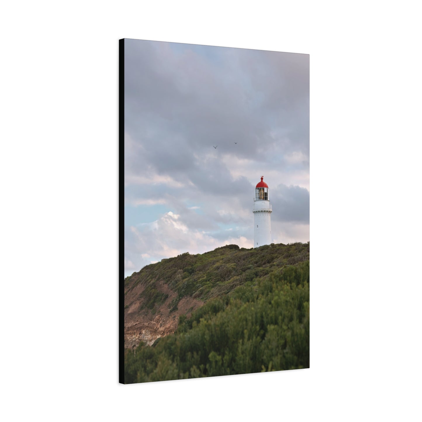 Cape Schank Lighthouse in Winter Light 6286 - Thick Matte Canvas Print