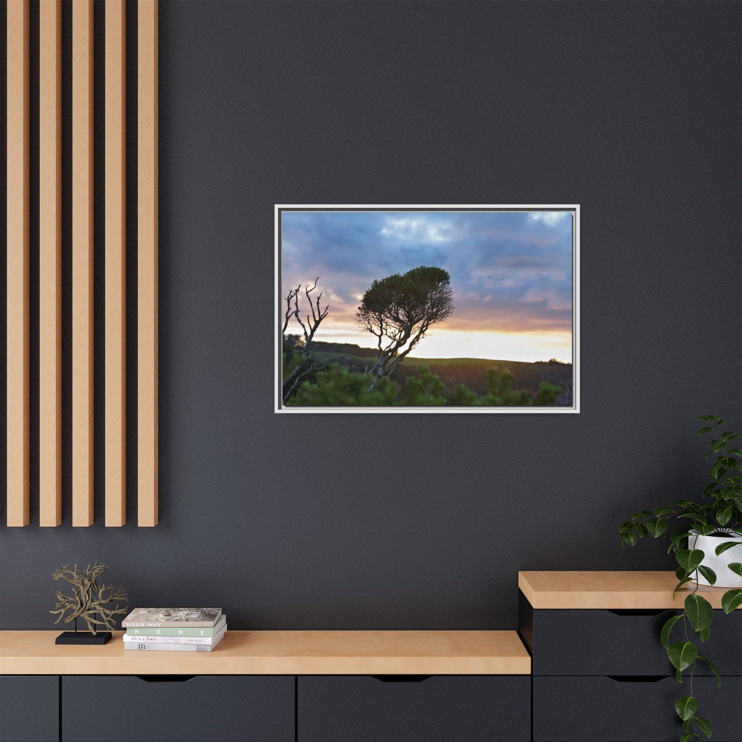 Serene Landscape of a Winter Sunrise: Melaleuca lanceolata in Cape Schank 6281 - Thick Matte Canvas Print, Framed