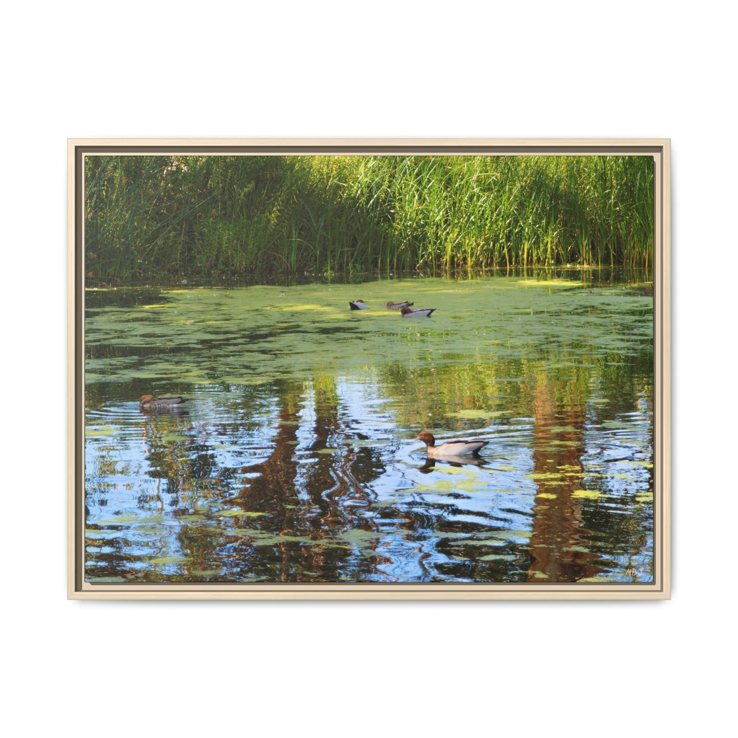 Late Morning Marsh Reflections at Croydon Park | The Framed Canvas Deployment