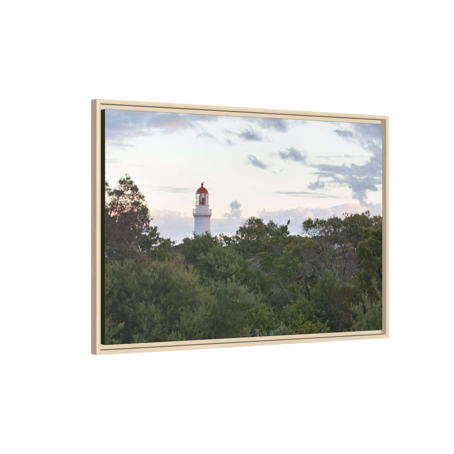 Cape Schank Lighthouse on a Winter Morning [6279] | Framed Canvas