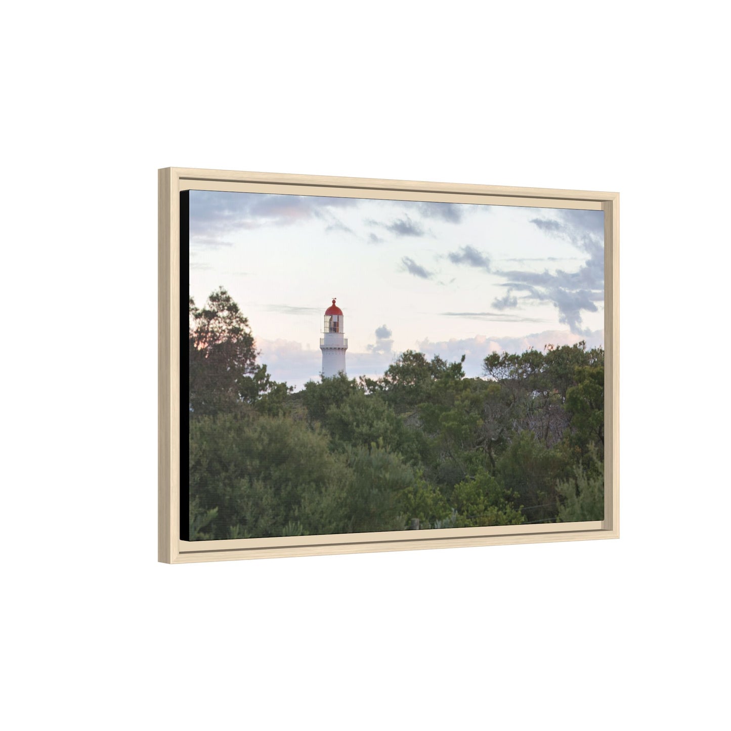Cape Schank Lighthouse on a Winter Morning 6279 - Framed Canvas Print