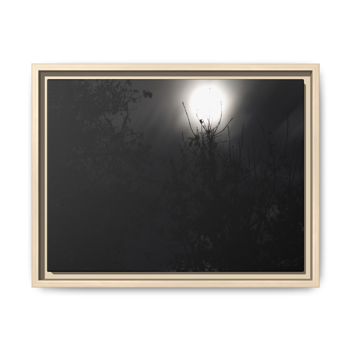 A Dance of Shadows Beneath the Moonlight [28] | Framed Canvas