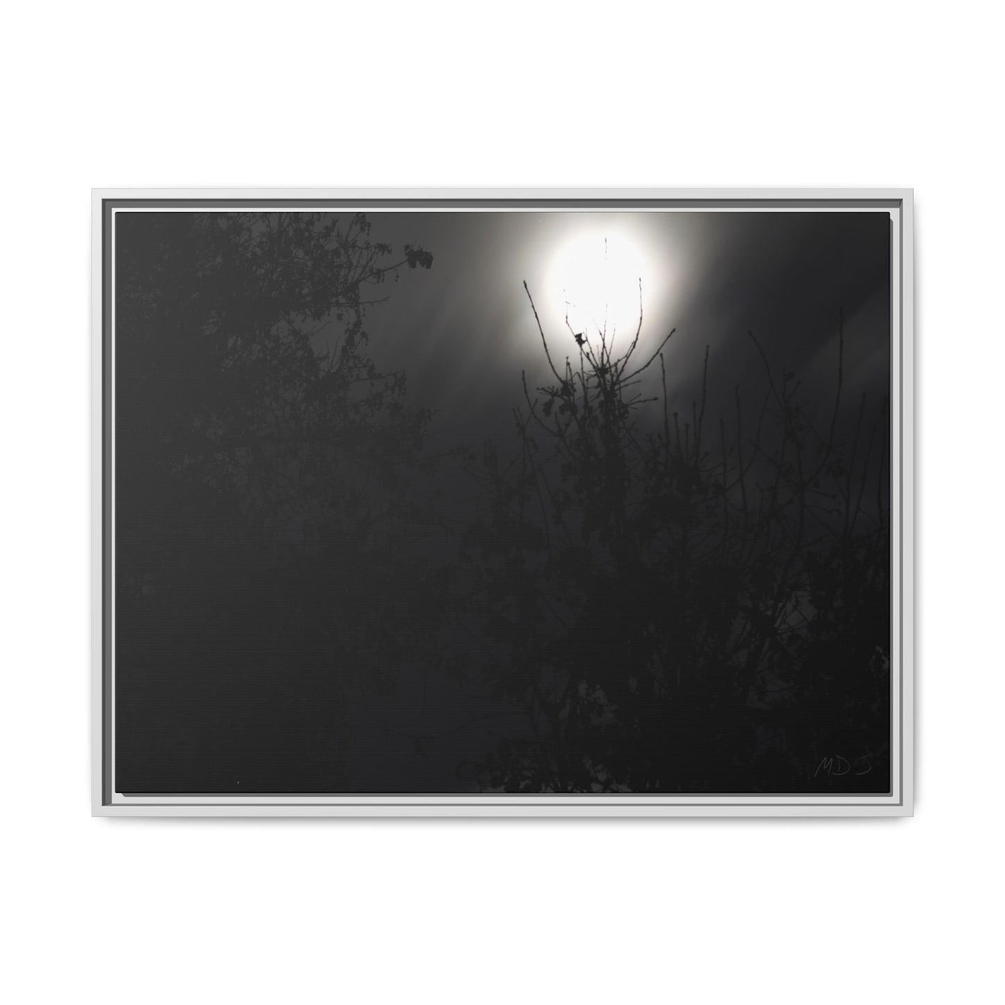 A Dance of Shadows Beneath the Moonlight [28] | Framed Canvas