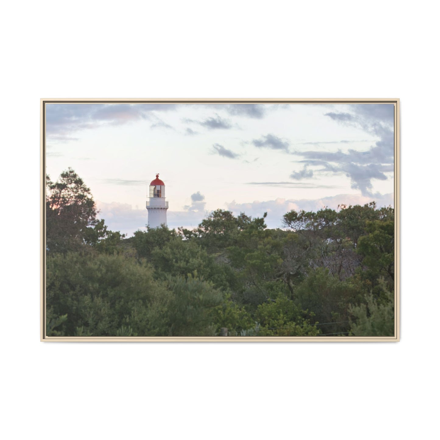Cape Schank Lighthouse on a Winter Morning 6279 - Framed Canvas Print