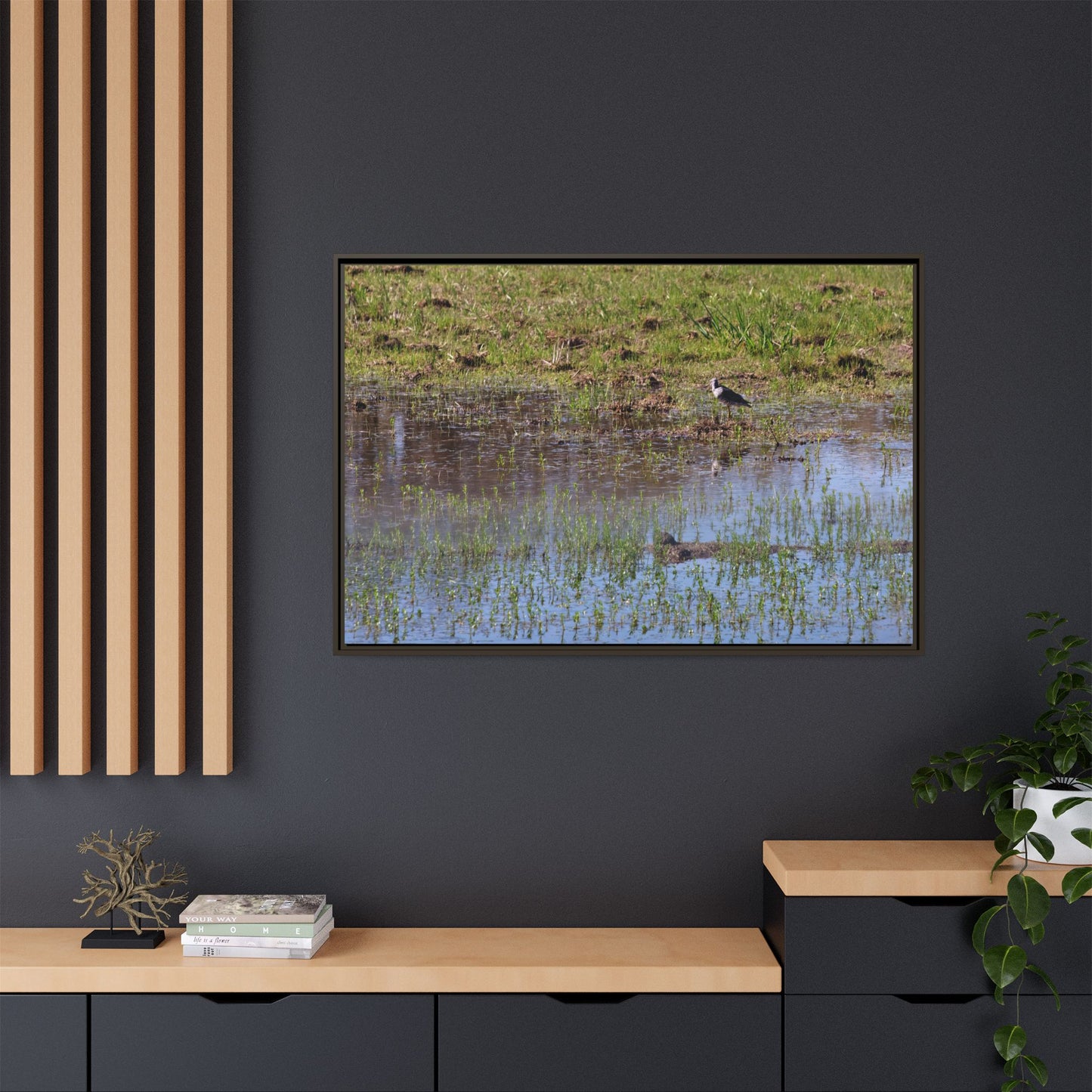 Sandpiper in Serene Wetland [2897] | Framed Canvas