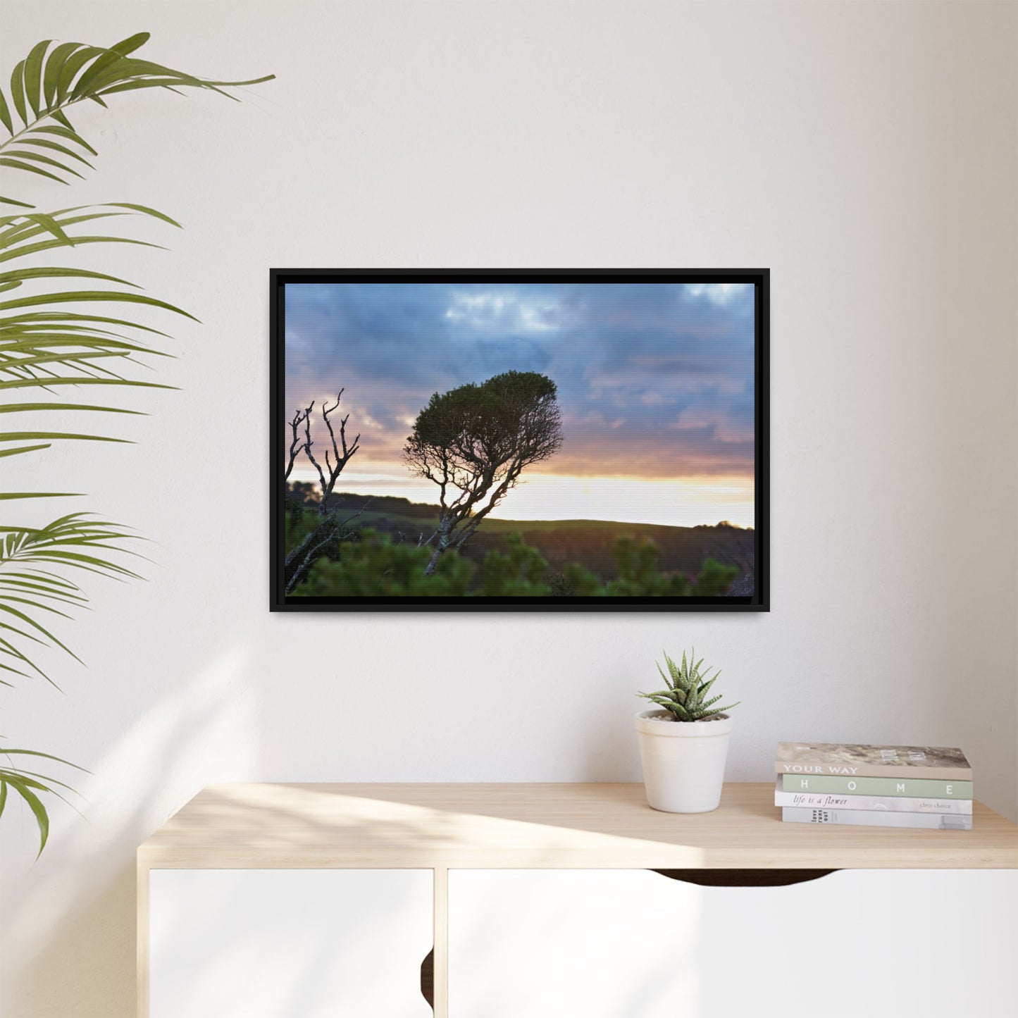 Serene Landscape of a Winter Sunrise: Melaleuca lanceolata in Cape Schank 6281 - Thick Matte Canvas Print, Framed