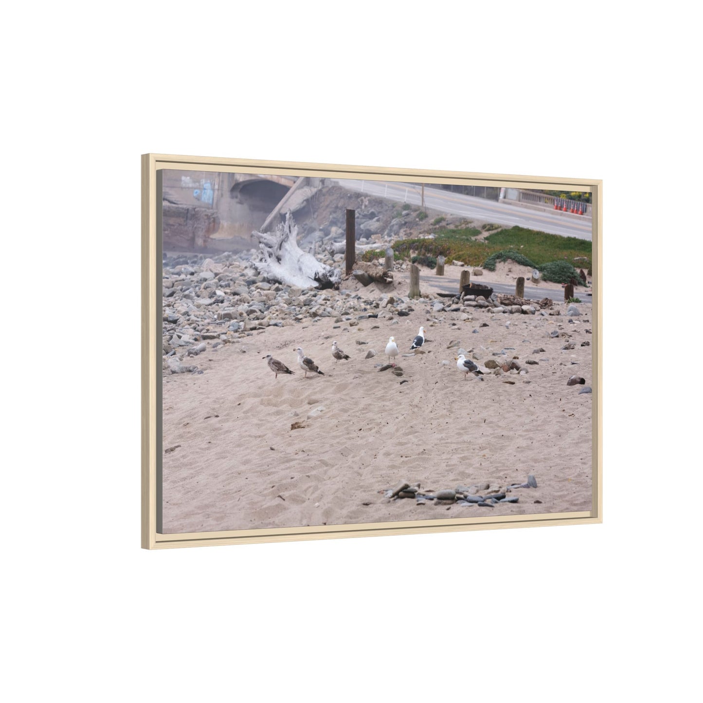 California Shoreline Escape [4275] | Framed Canvas