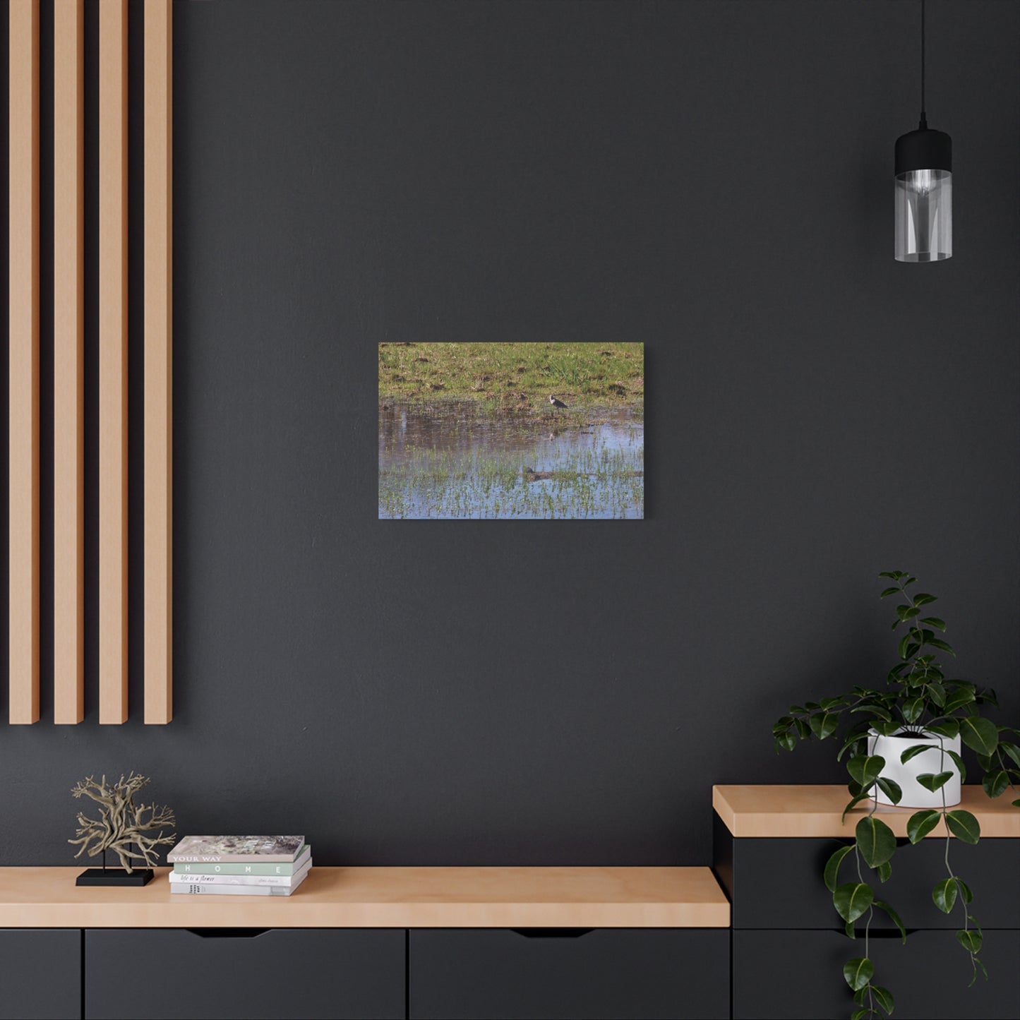 Sandpiper in Serene Wetland [2897] | Stretched Canvas