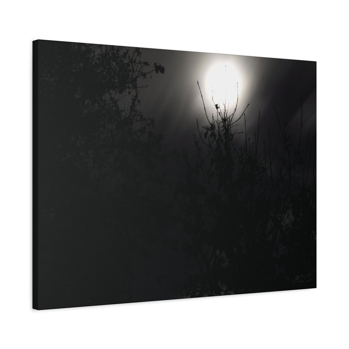 A Dance of Shadows Beneath the Moonlight [28] | Stretched Canvas
