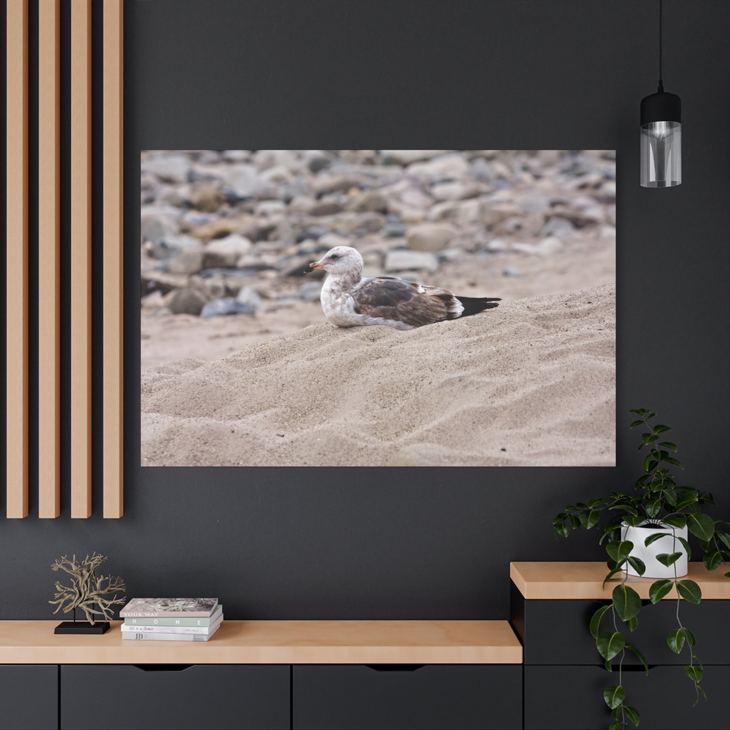 Seagull Serenity on the Shore 4278 - Thick Matte Canvas Print