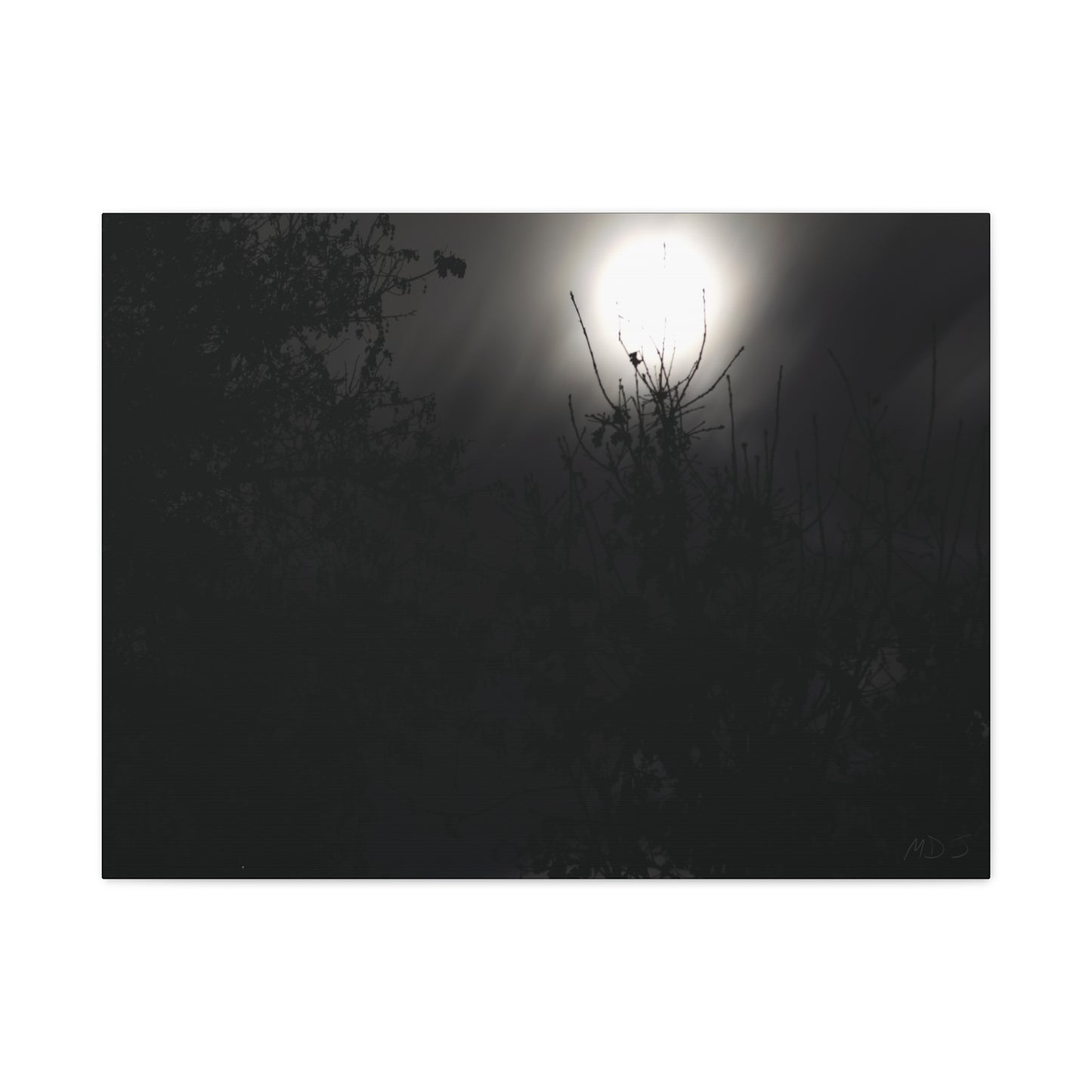 A Dance of Shadows Beneath the Moonlight [28] | Stretched Canvas