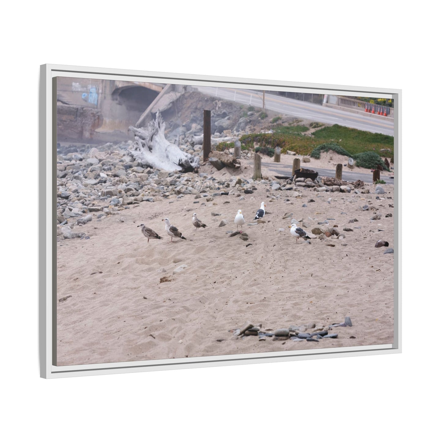 California Shoreline Escape [4275] | Framed Canvas