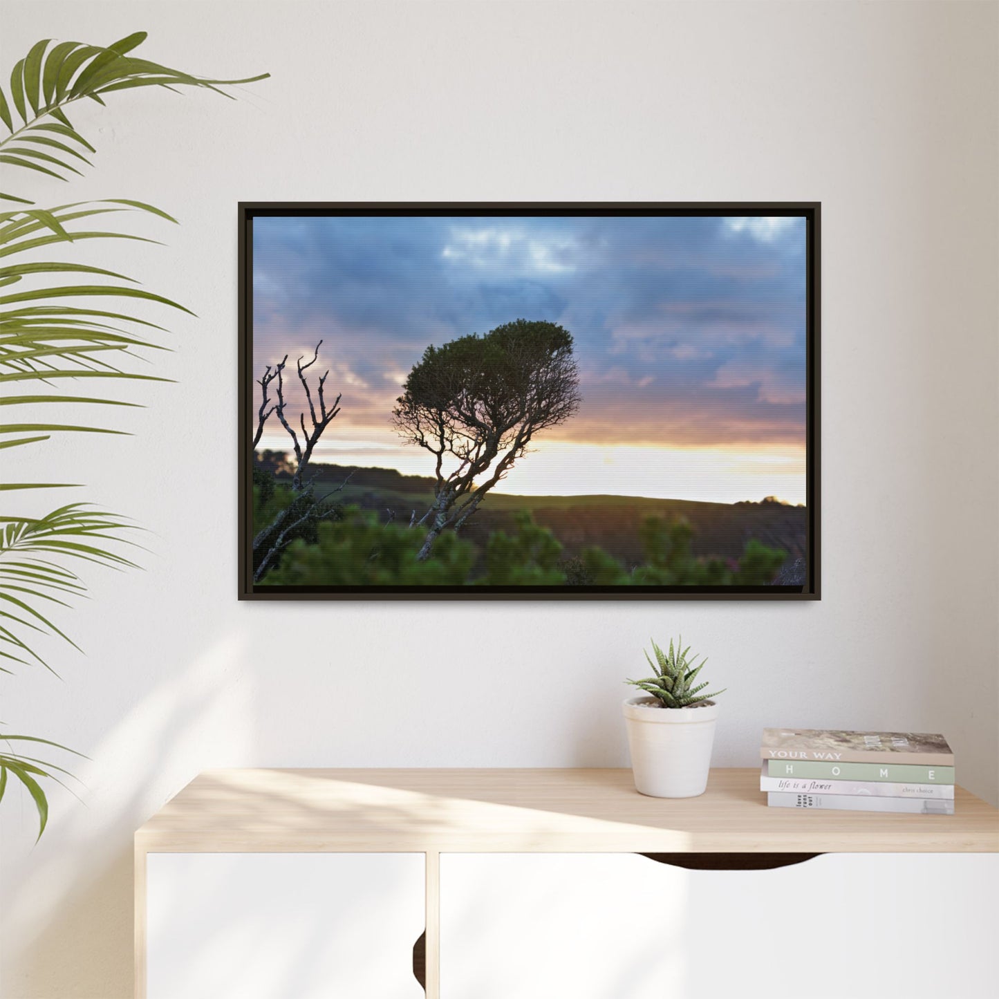 Melaleuca lanceolata in Cape Schank [6281] | Framed Canvas