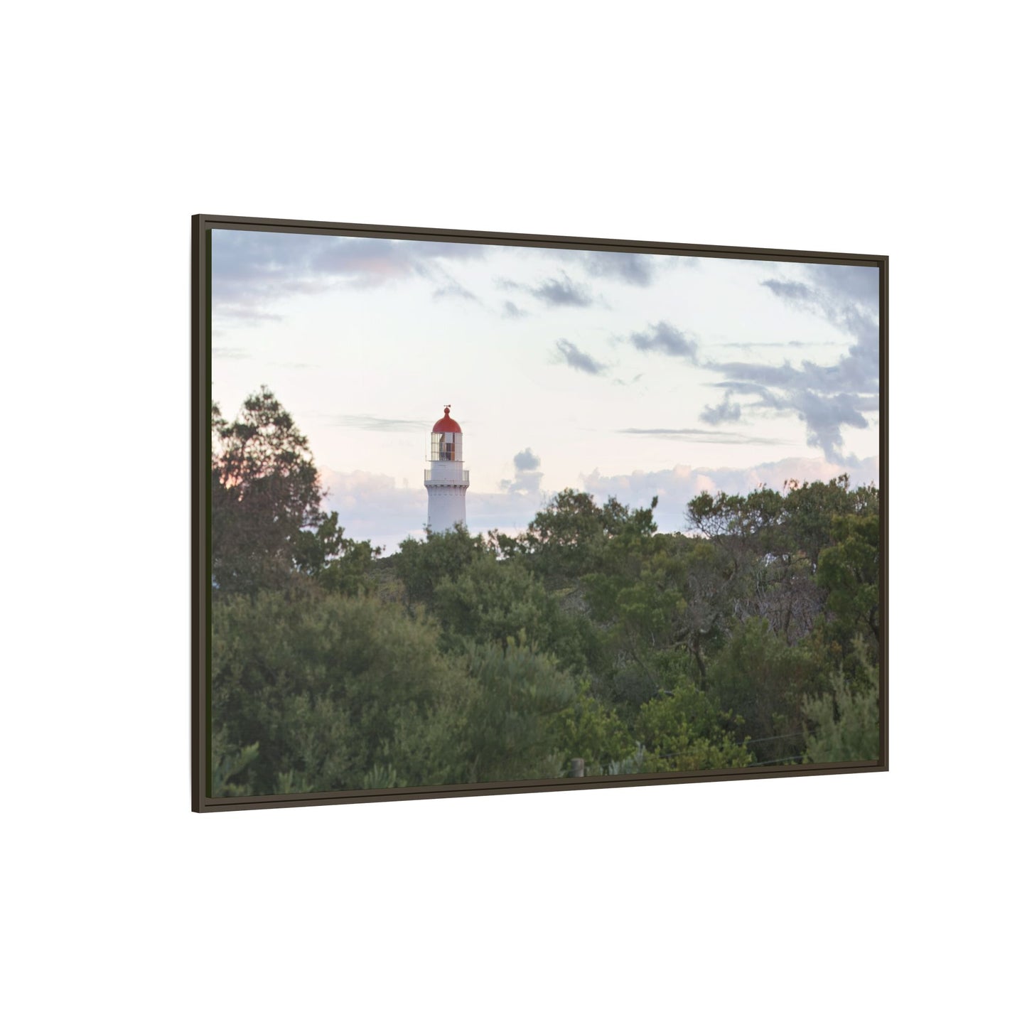 Cape Schank Lighthouse on a Winter Morning [6279] | Framed Canvas