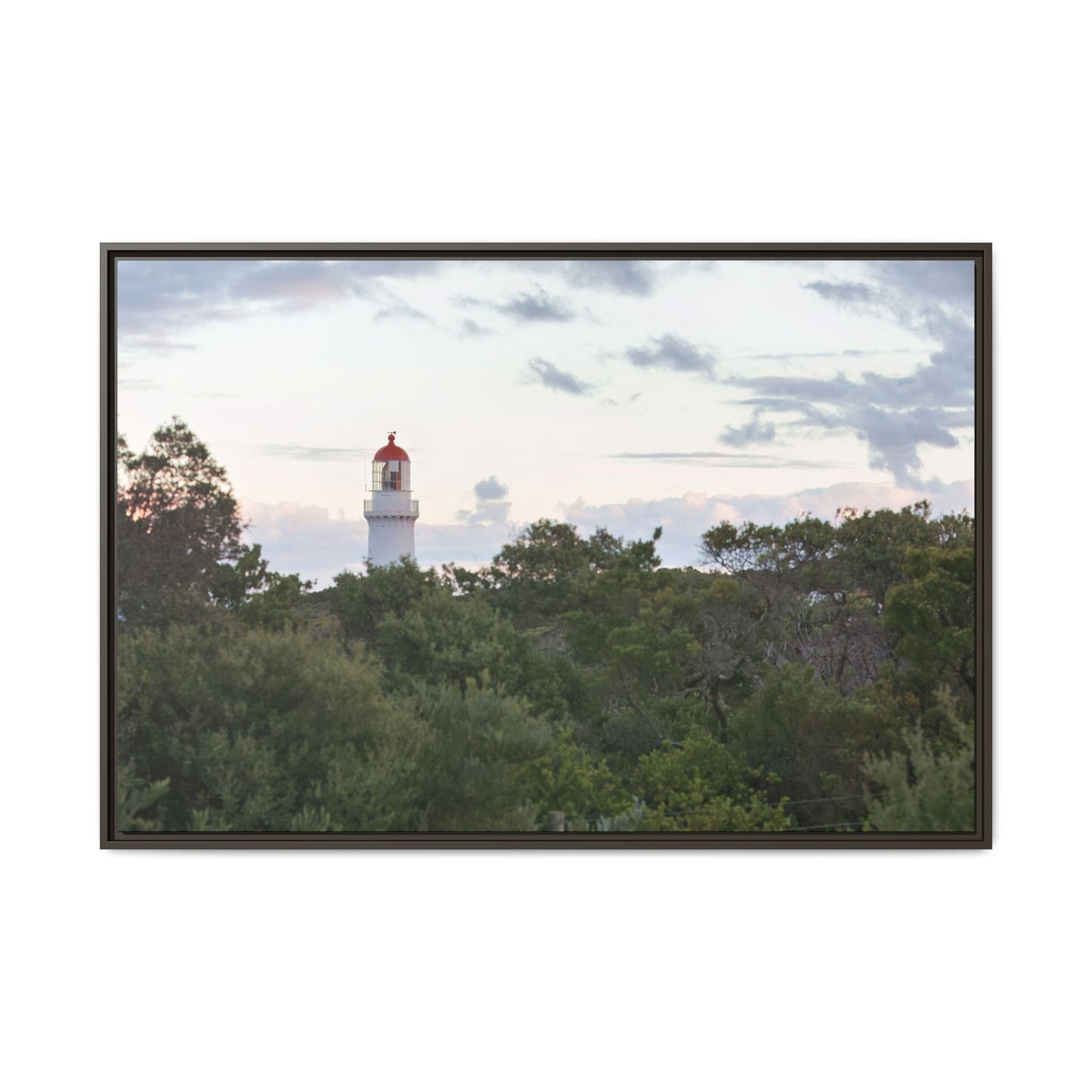 Cape Schank Lighthouse on a Winter Morning 6279 - Framed Canvas Print