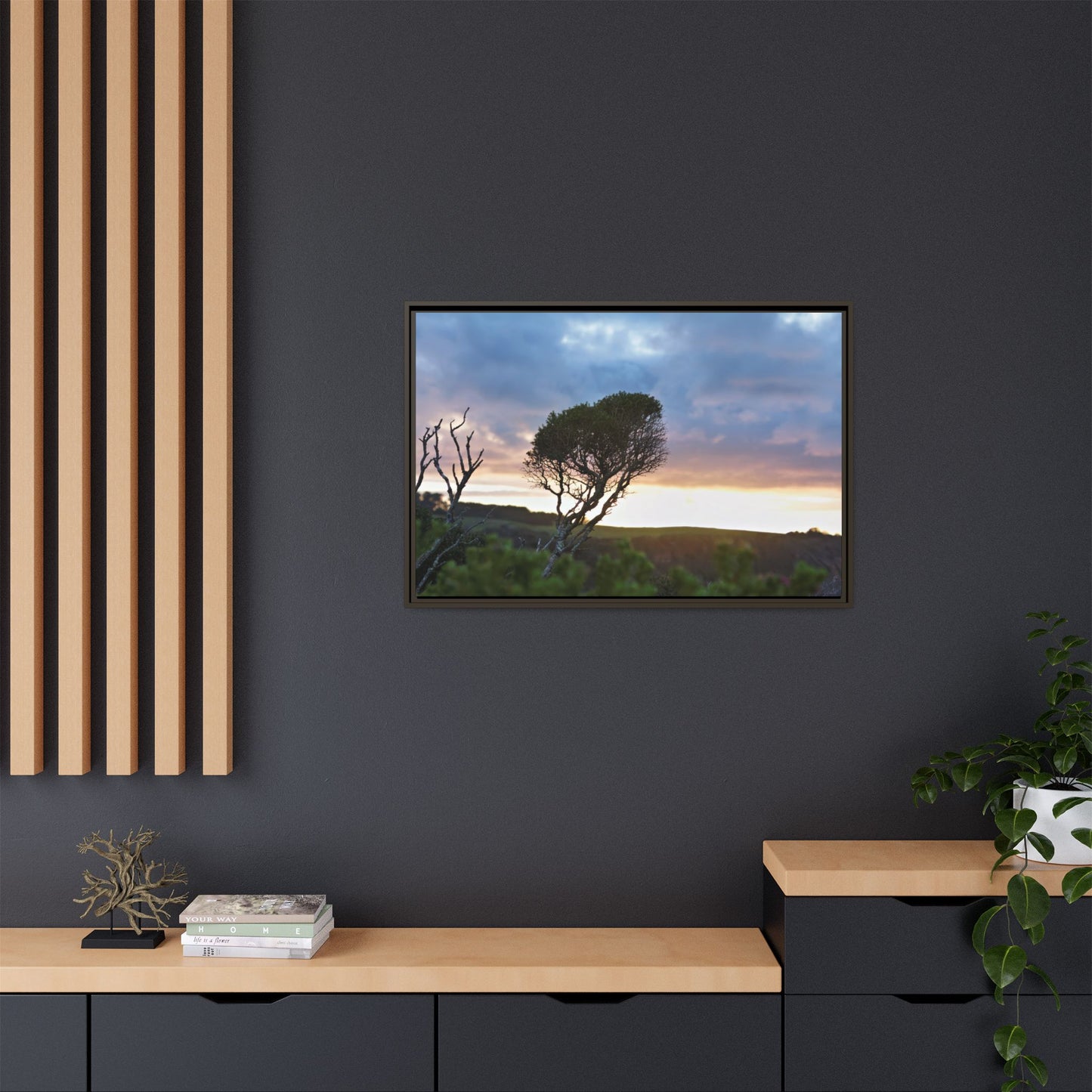 Serene Landscape of a Winter Sunrise: Melaleuca lanceolata in Cape Schank 6281 - Thick Matte Canvas Print, Framed