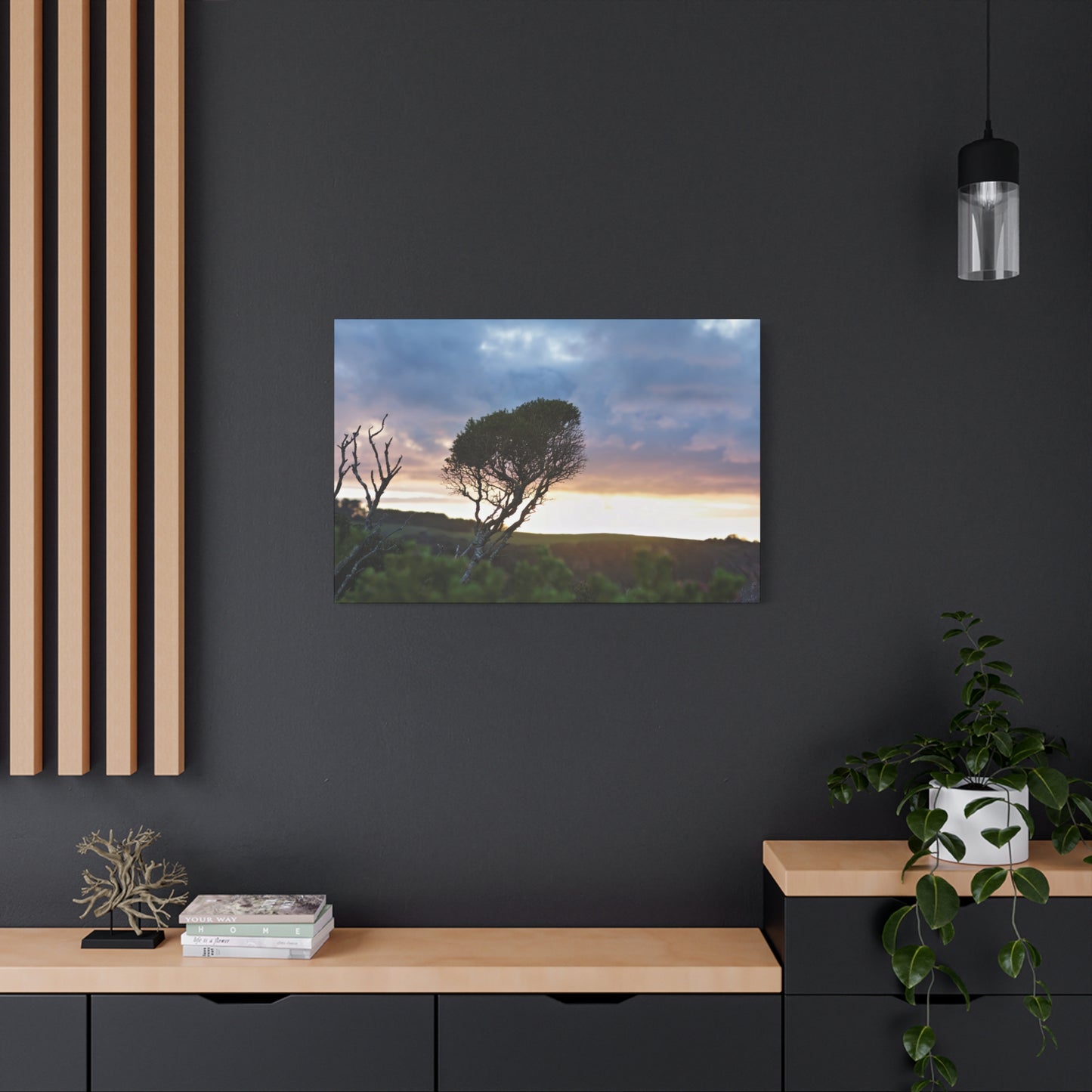 Serene Landscape of a Winter Sunrise: Melaleuca lanceolata in Cape Schank 6281 - Thick Matte Canvas Print