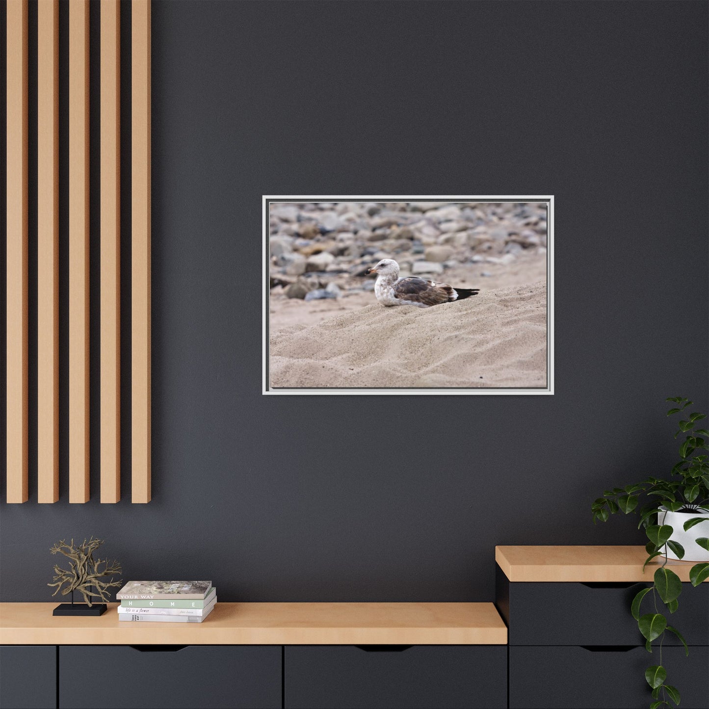 Seagull Serenity on the Shore 4278 - Thick Matte Canvas Print, Framed