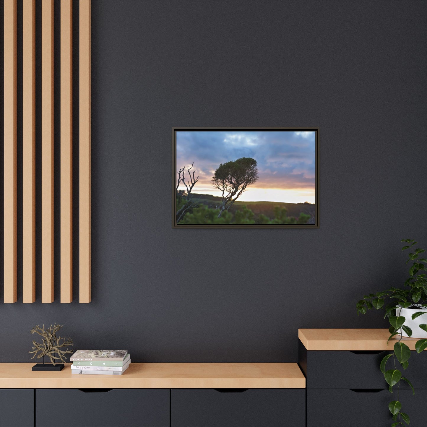 Serene Landscape of a Winter Sunrise: Melaleuca lanceolata in Cape Schank 6281 - Thick Matte Canvas Print, Framed