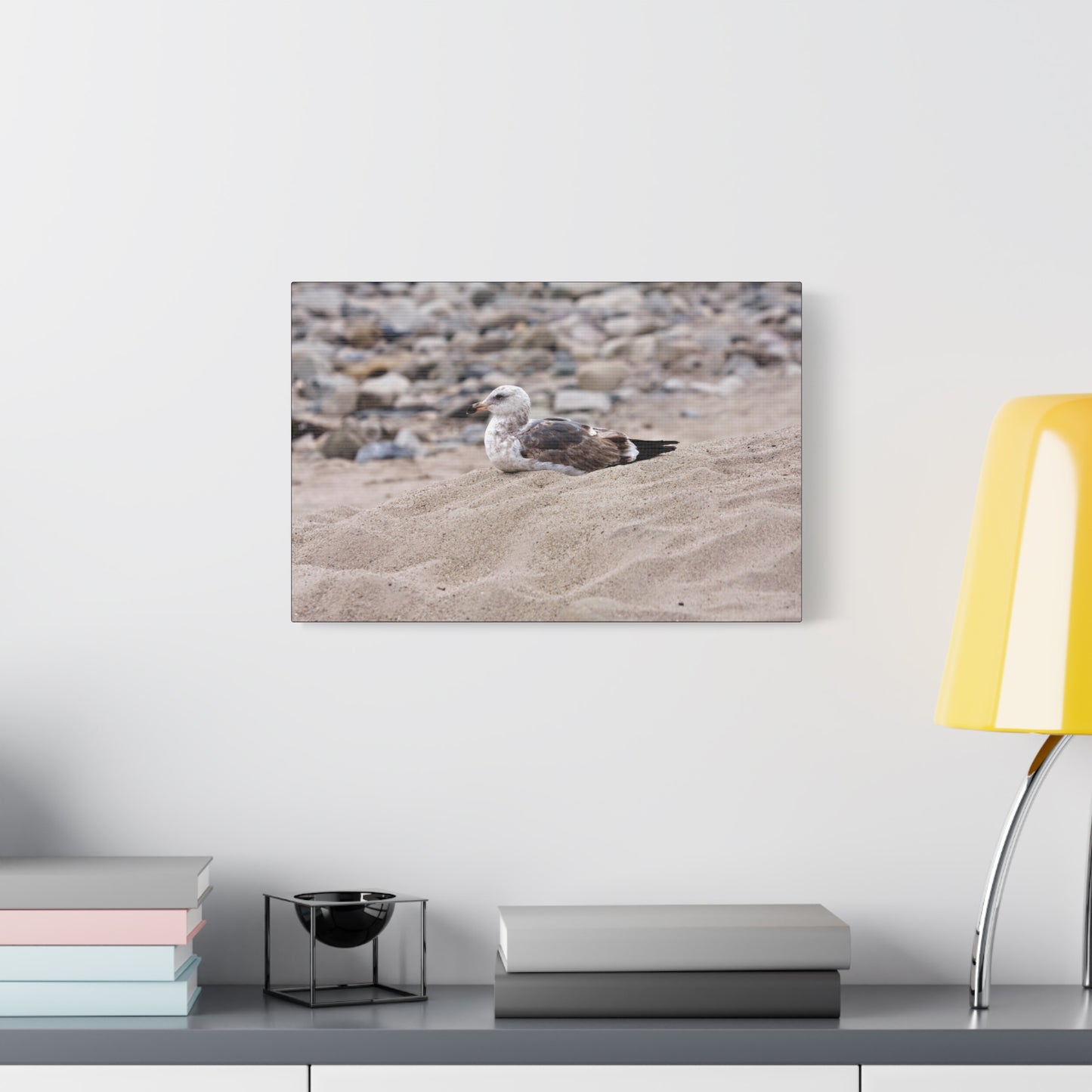 Seagull Serenity on the Shore 4278 - Thick Matte Canvas Print